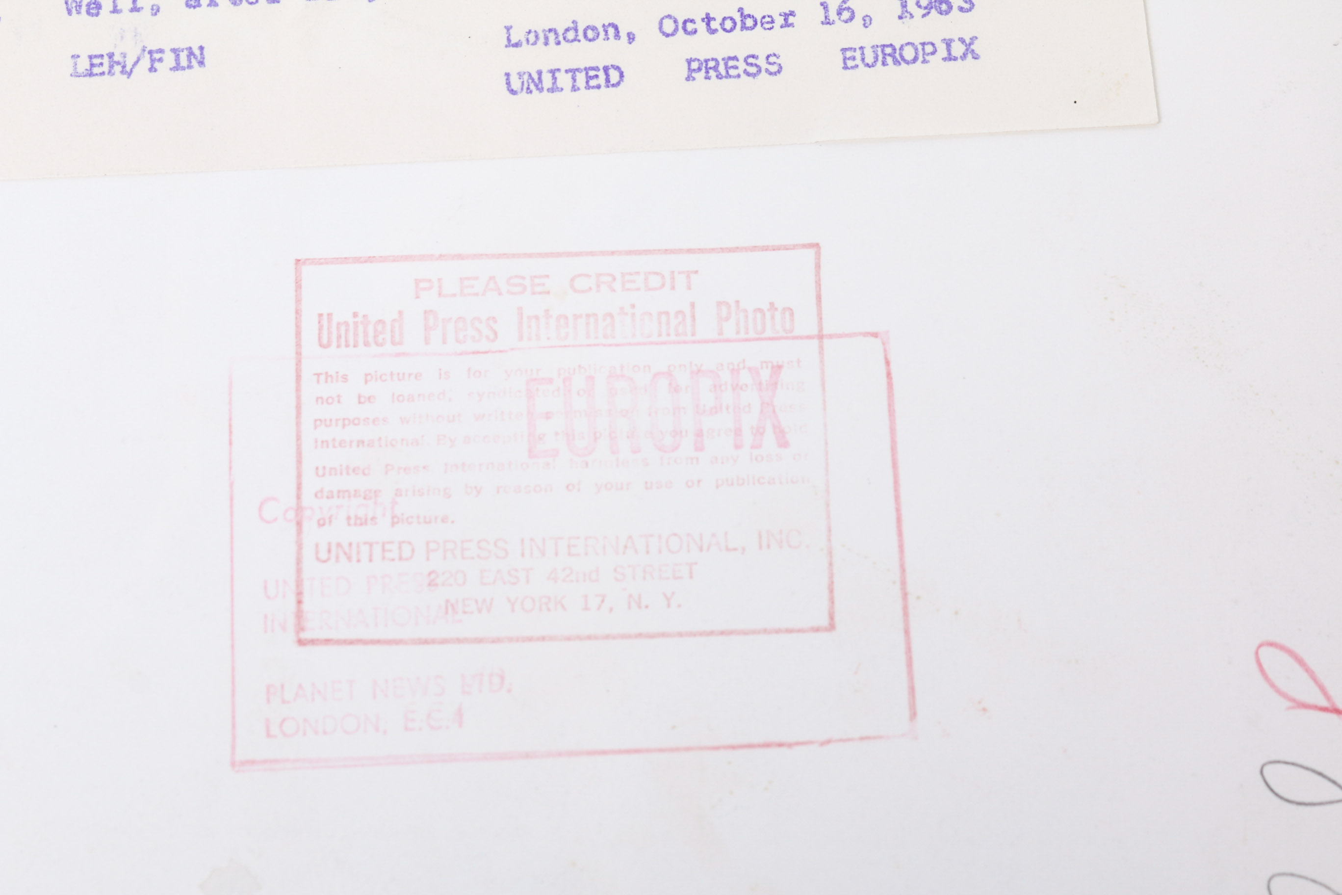 Collection of Photographs of Jayne Mansfield