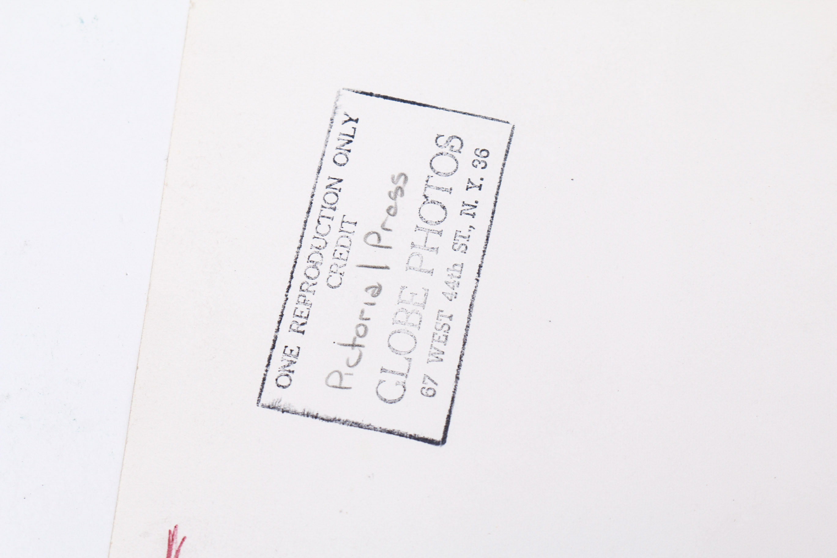 Collection of Photographs of Jayne Mansfield