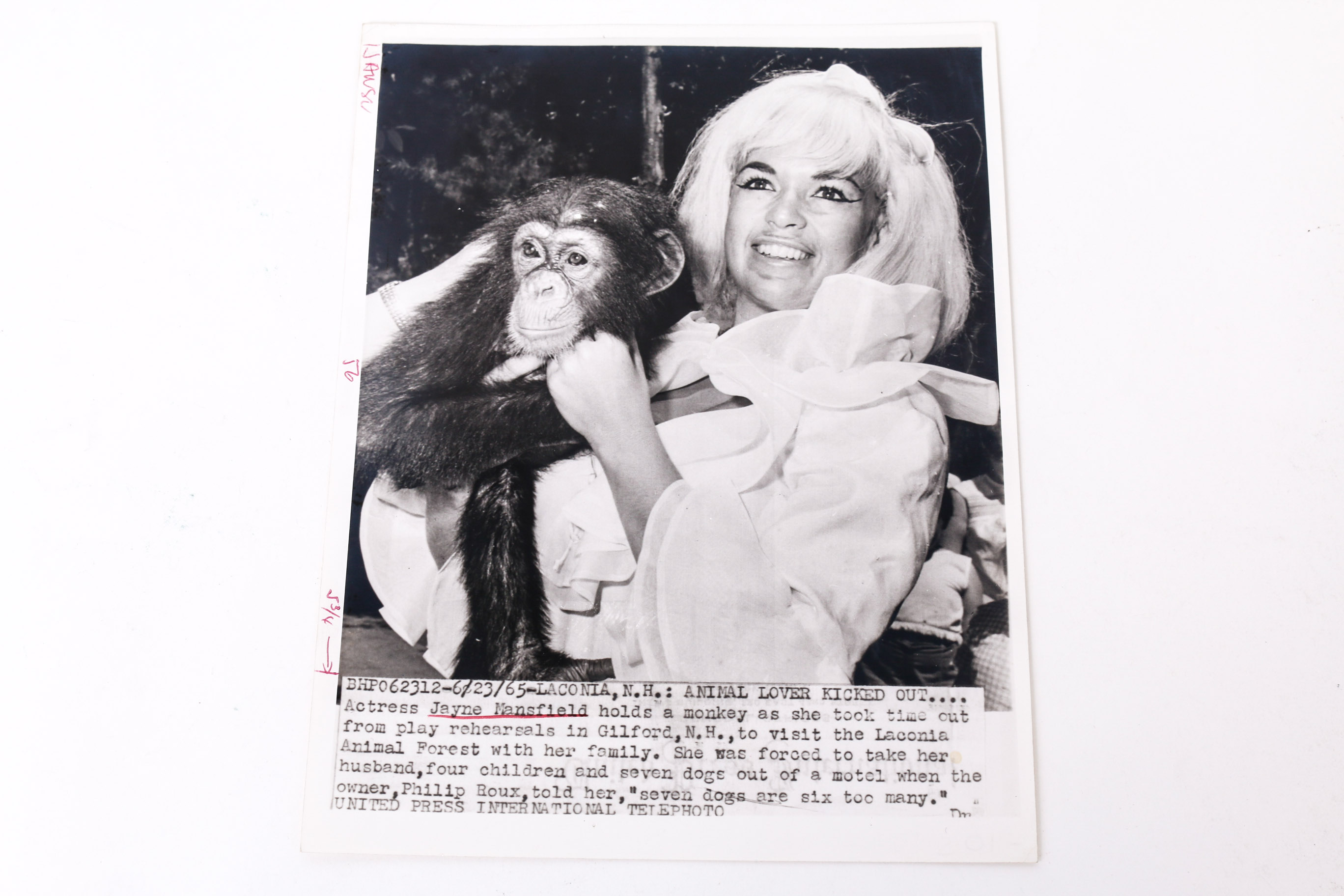 Collection of Photographs of Jayne Mansfield