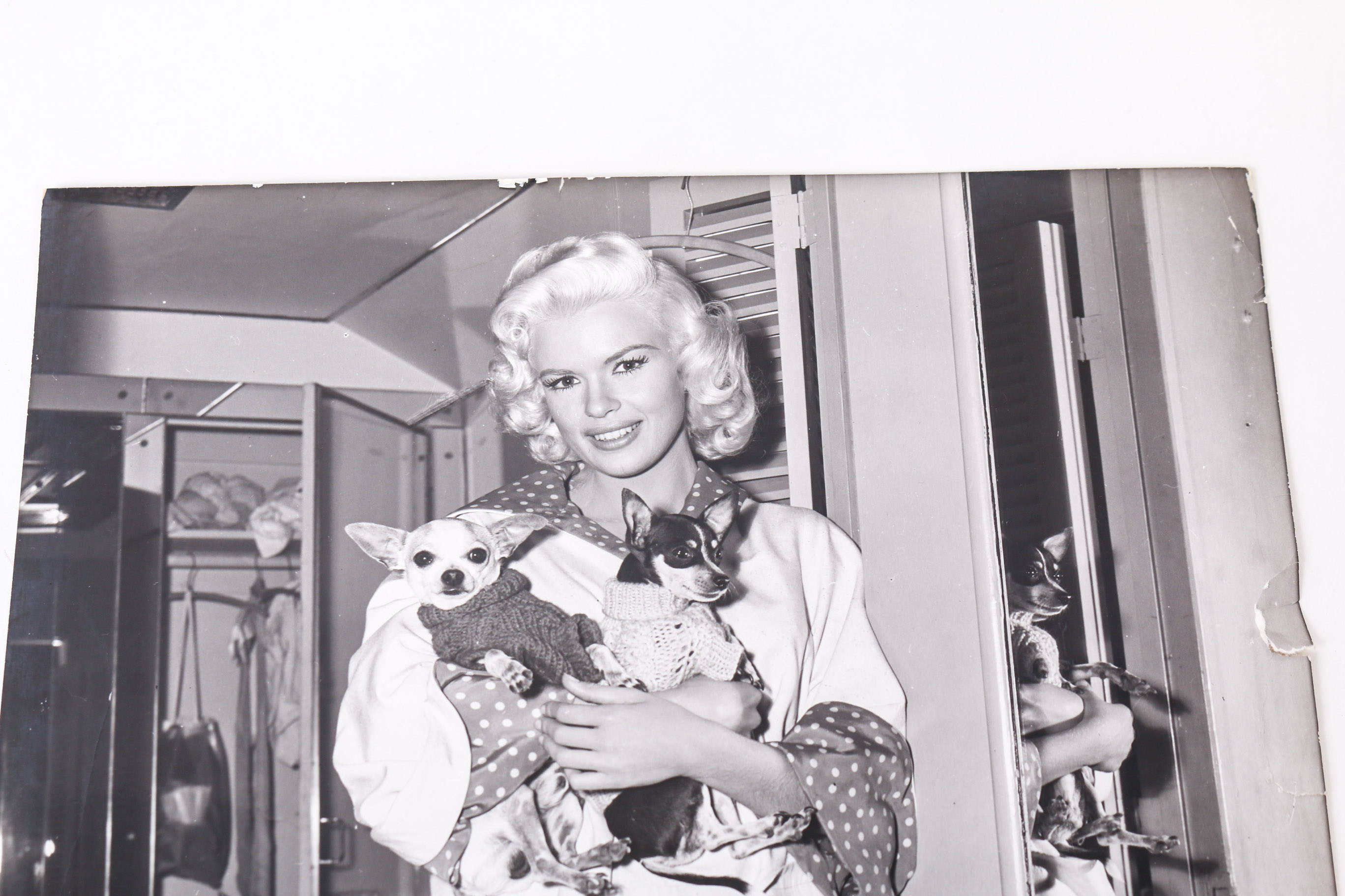 Collection of Photographs of Jayne Mansfield