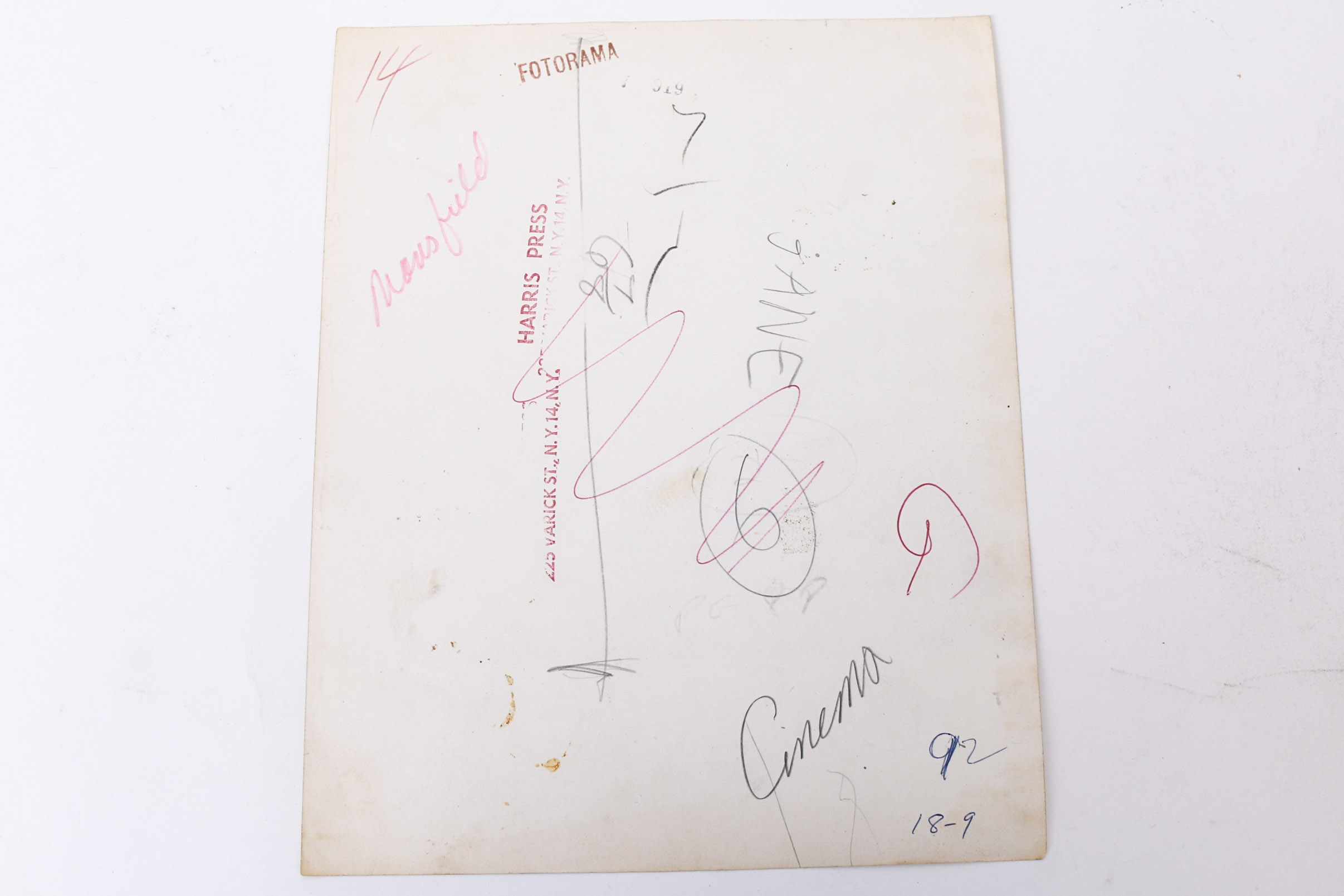 Collection of Photographs of Jayne Mansfield