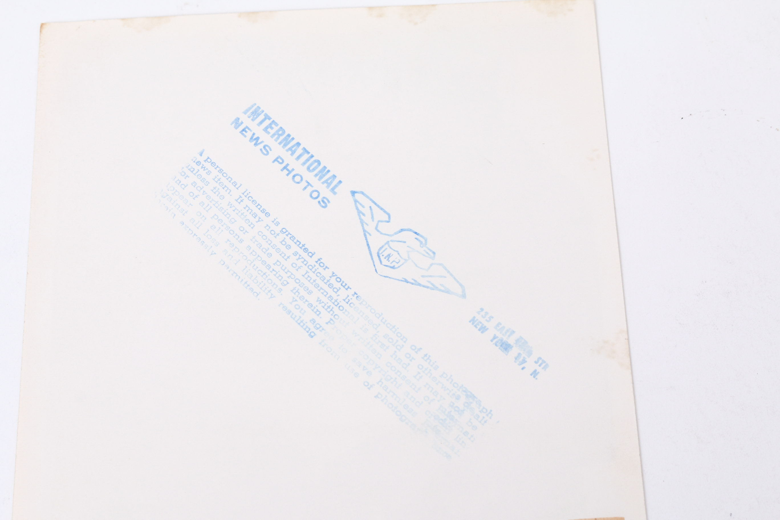 Collection of Photographs of Jayne Mansfield