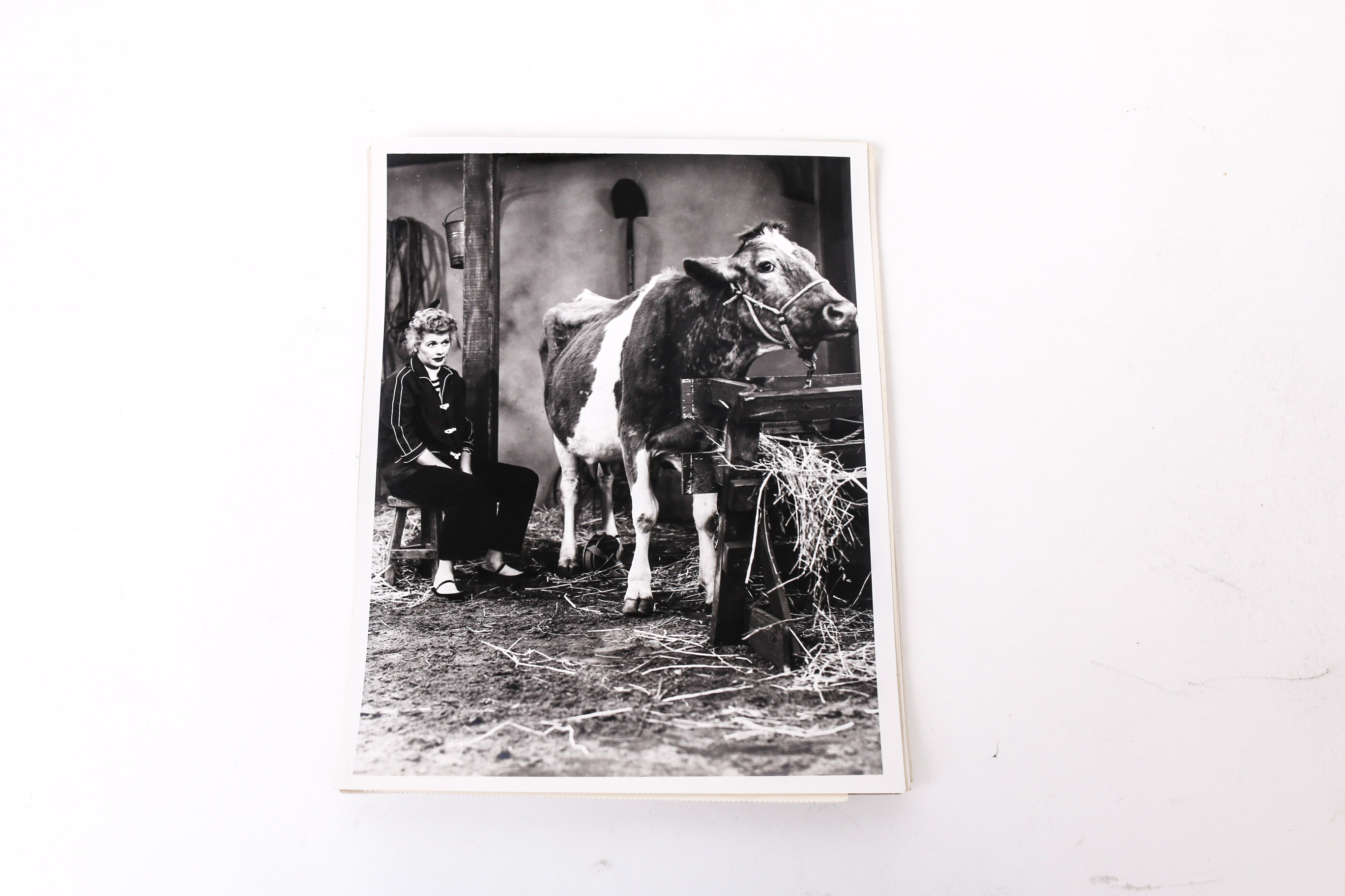 Collection of "I Love Lucy" Photographs