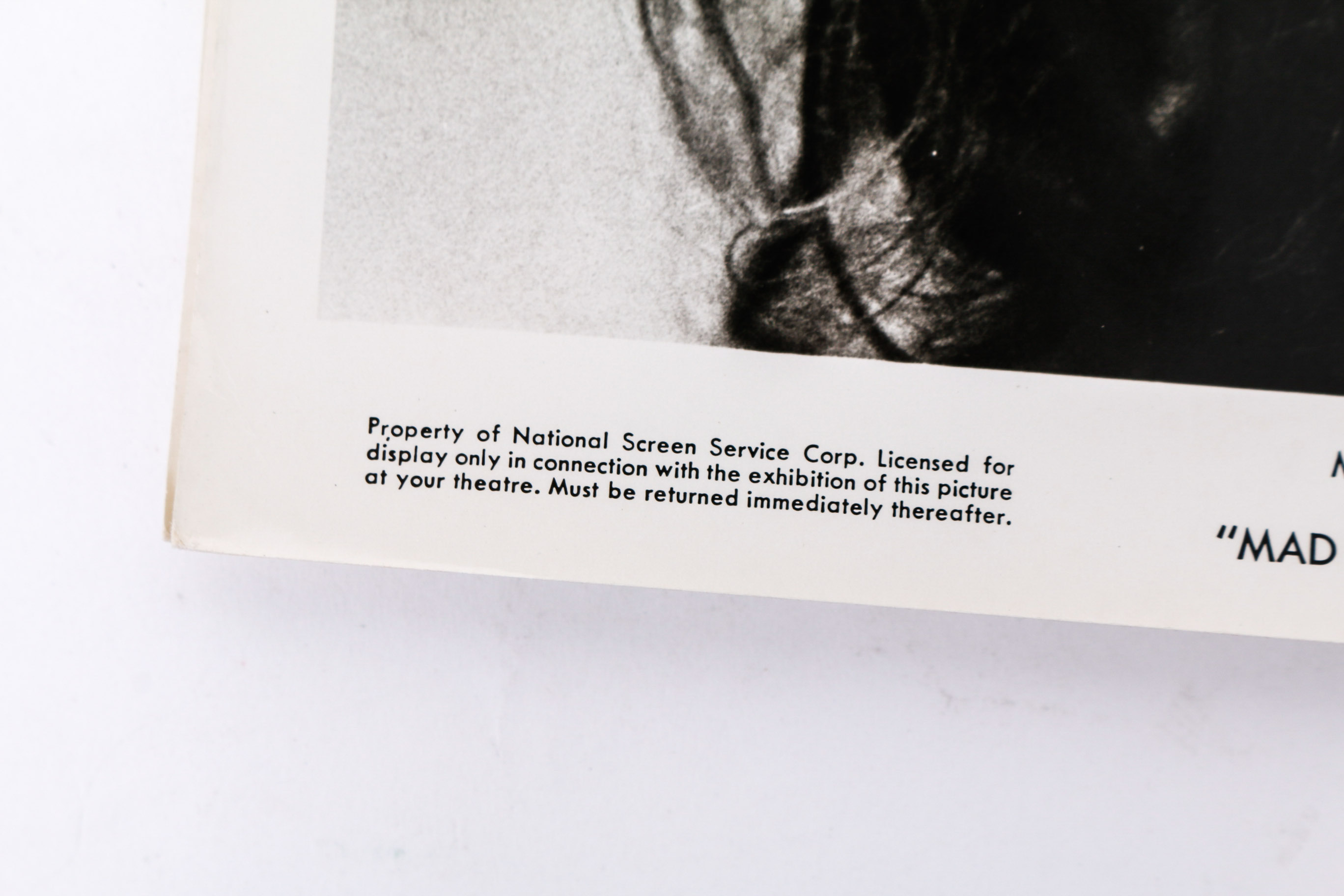 Collection of Photographs and Prints of Joe Cocker