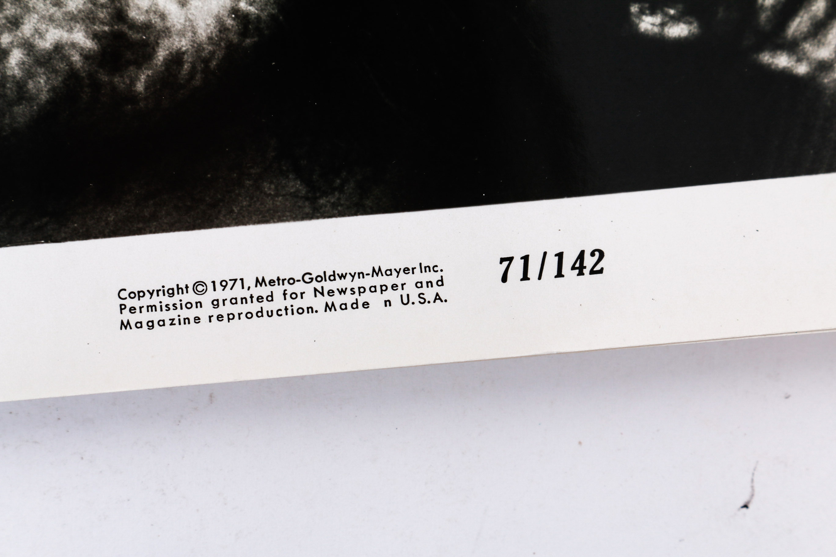 Collection of Photographs and Prints of Joe Cocker