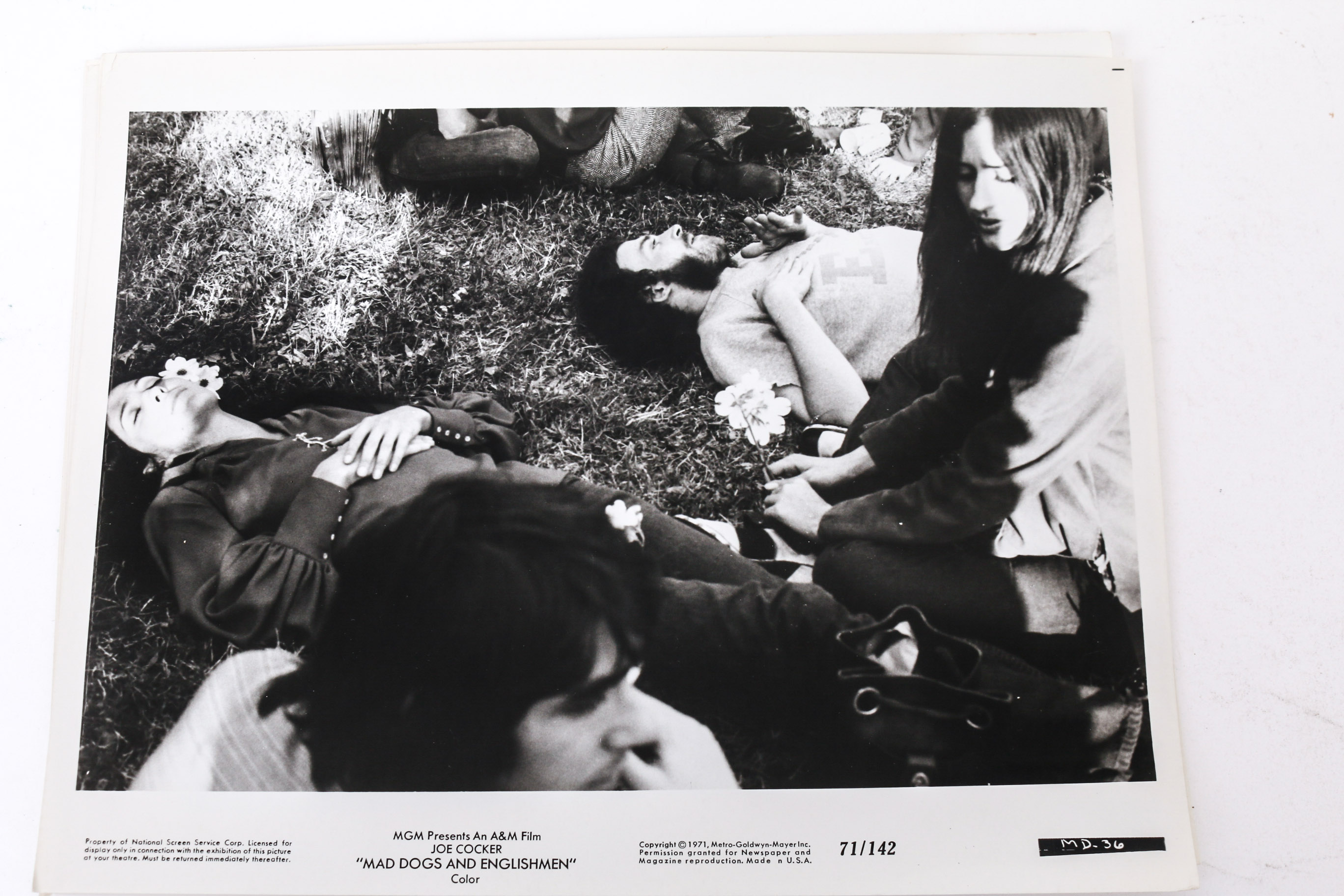 Collection of Photographs and Prints of Joe Cocker