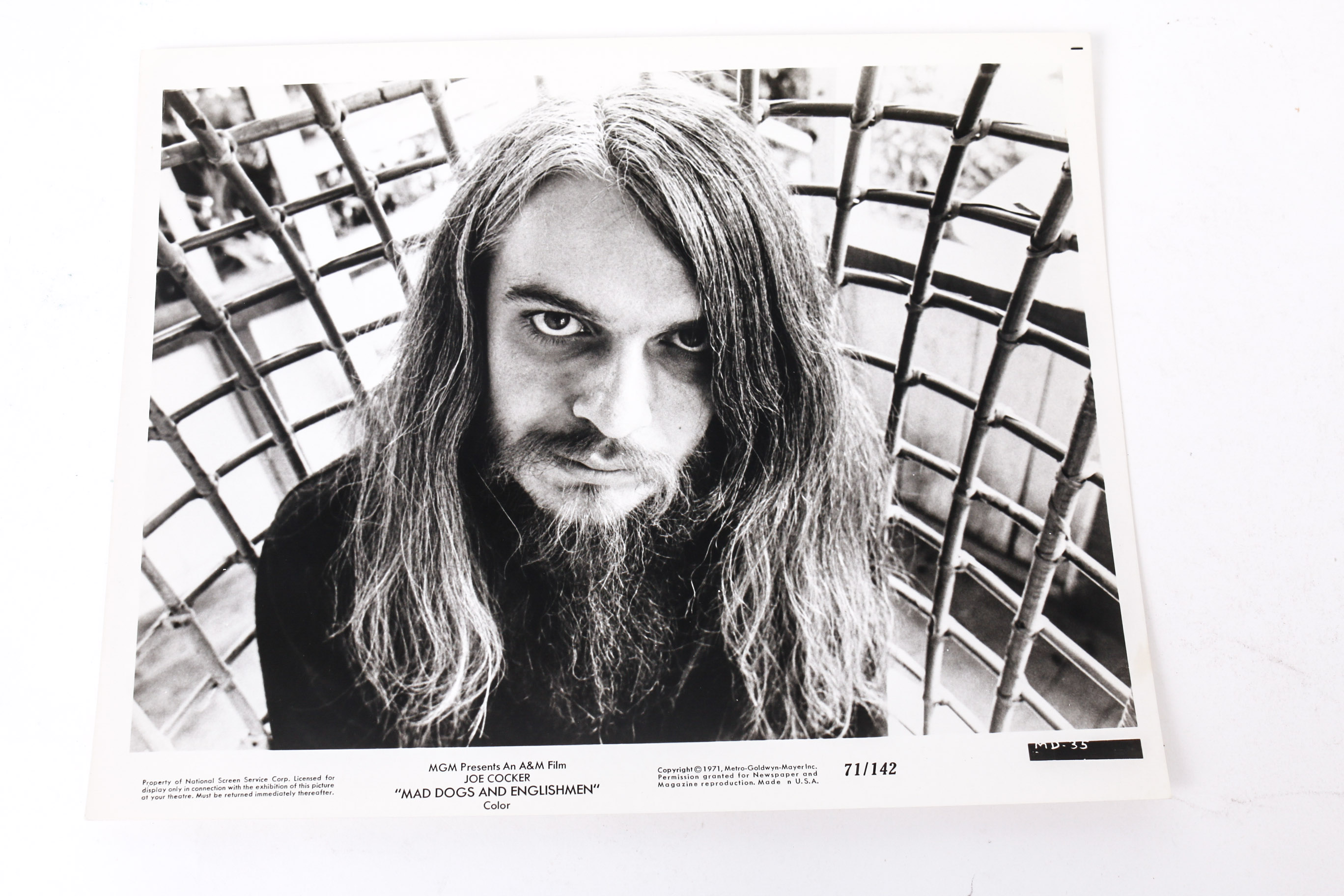 Collection of Photographs and Prints of Joe Cocker