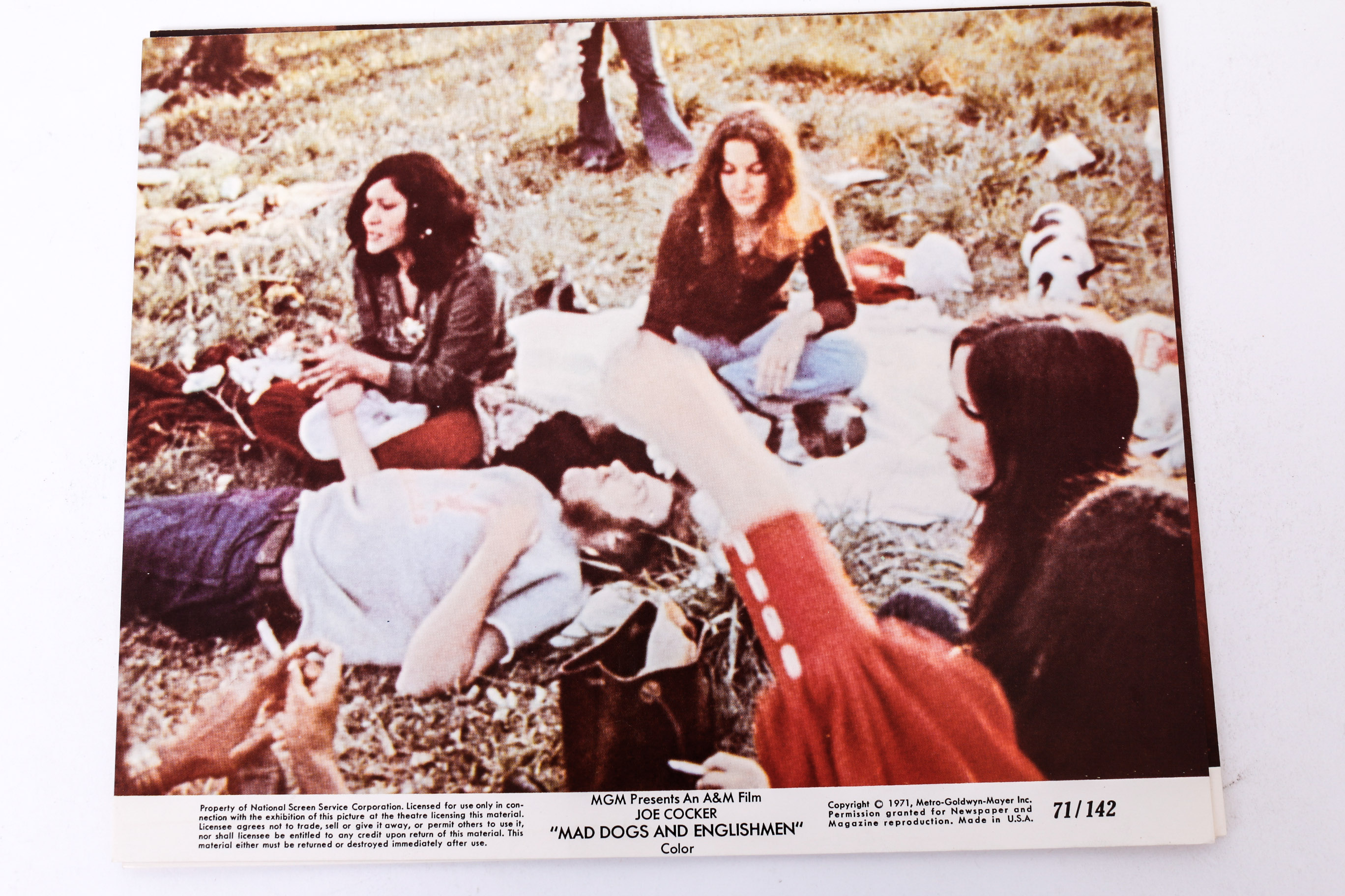 Collection of Photographs and Prints of Joe Cocker