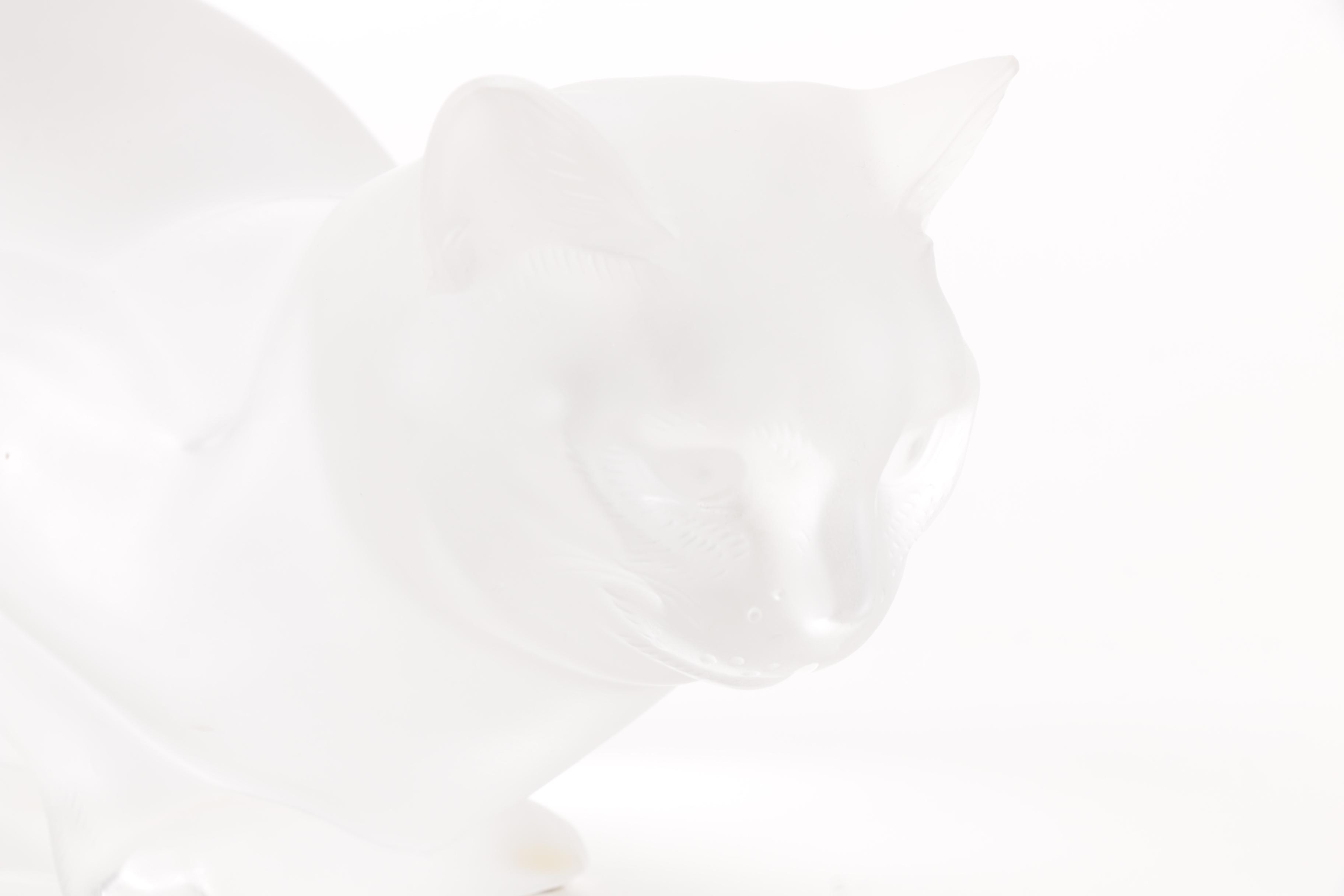 Pair of Frosted Glass Cat Figurines