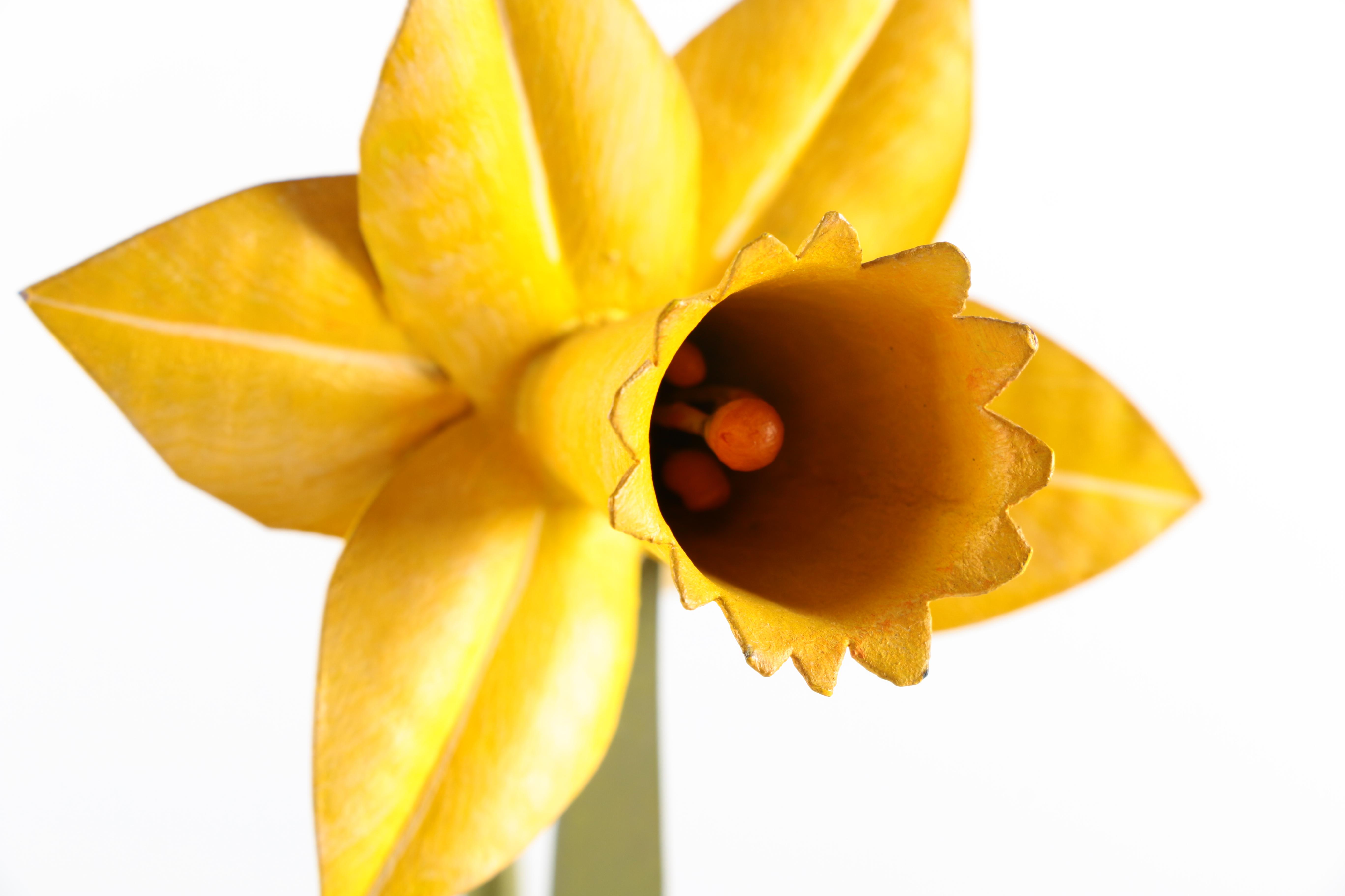Decorative Metal Daffodil
