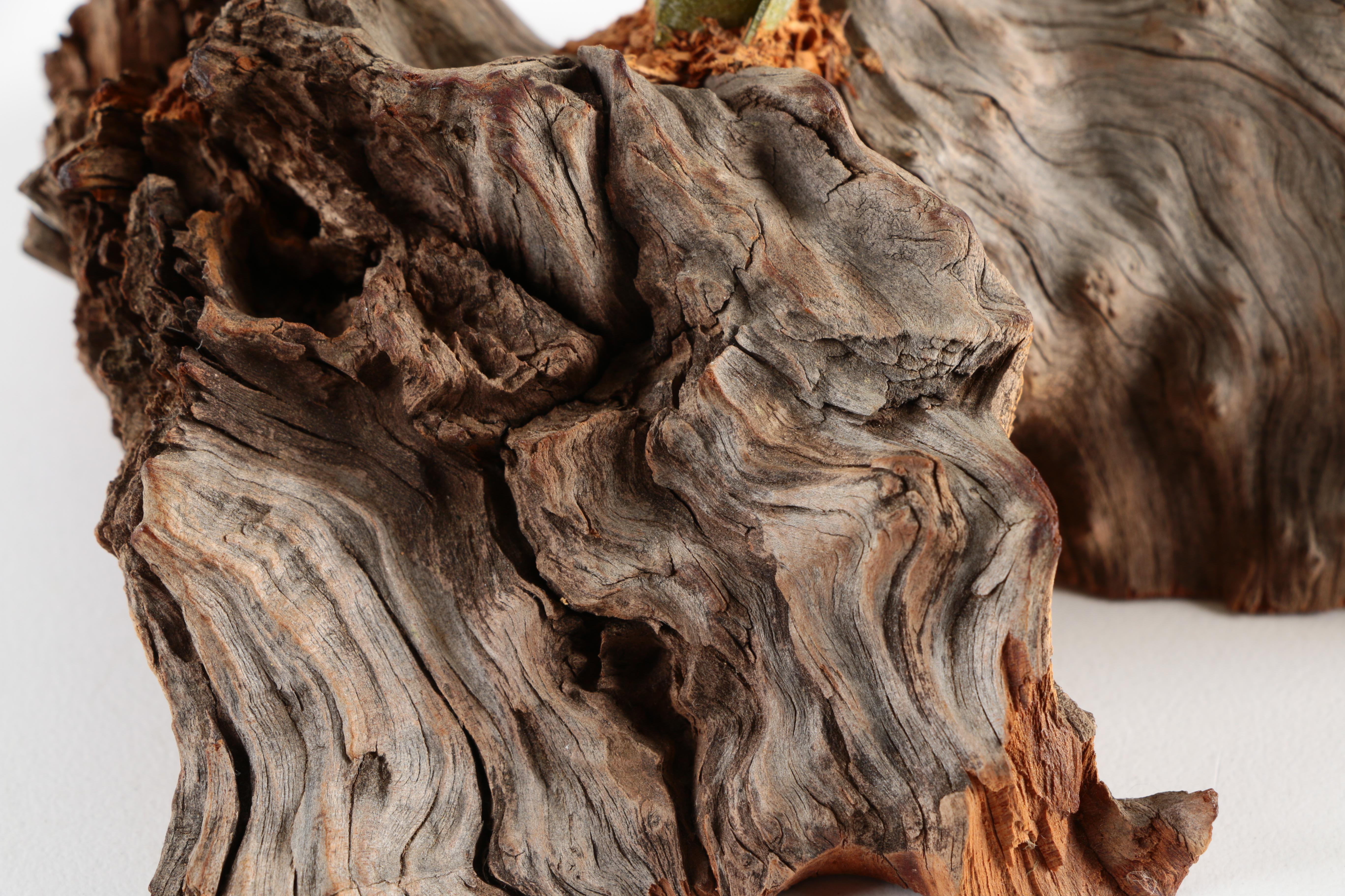 Decorative Metal Daffodil