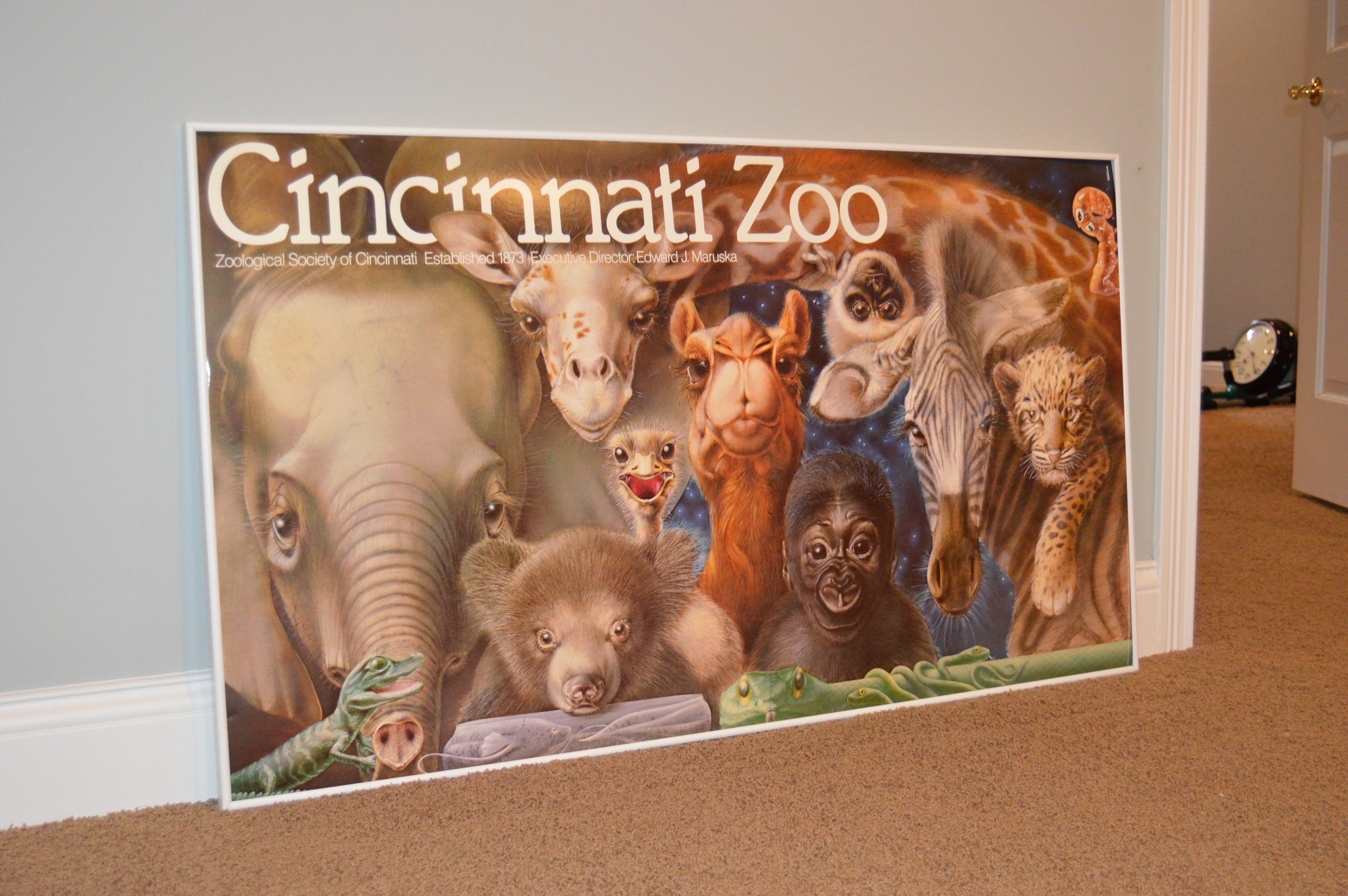 Cincinnati Zoo "New Ones" Poster