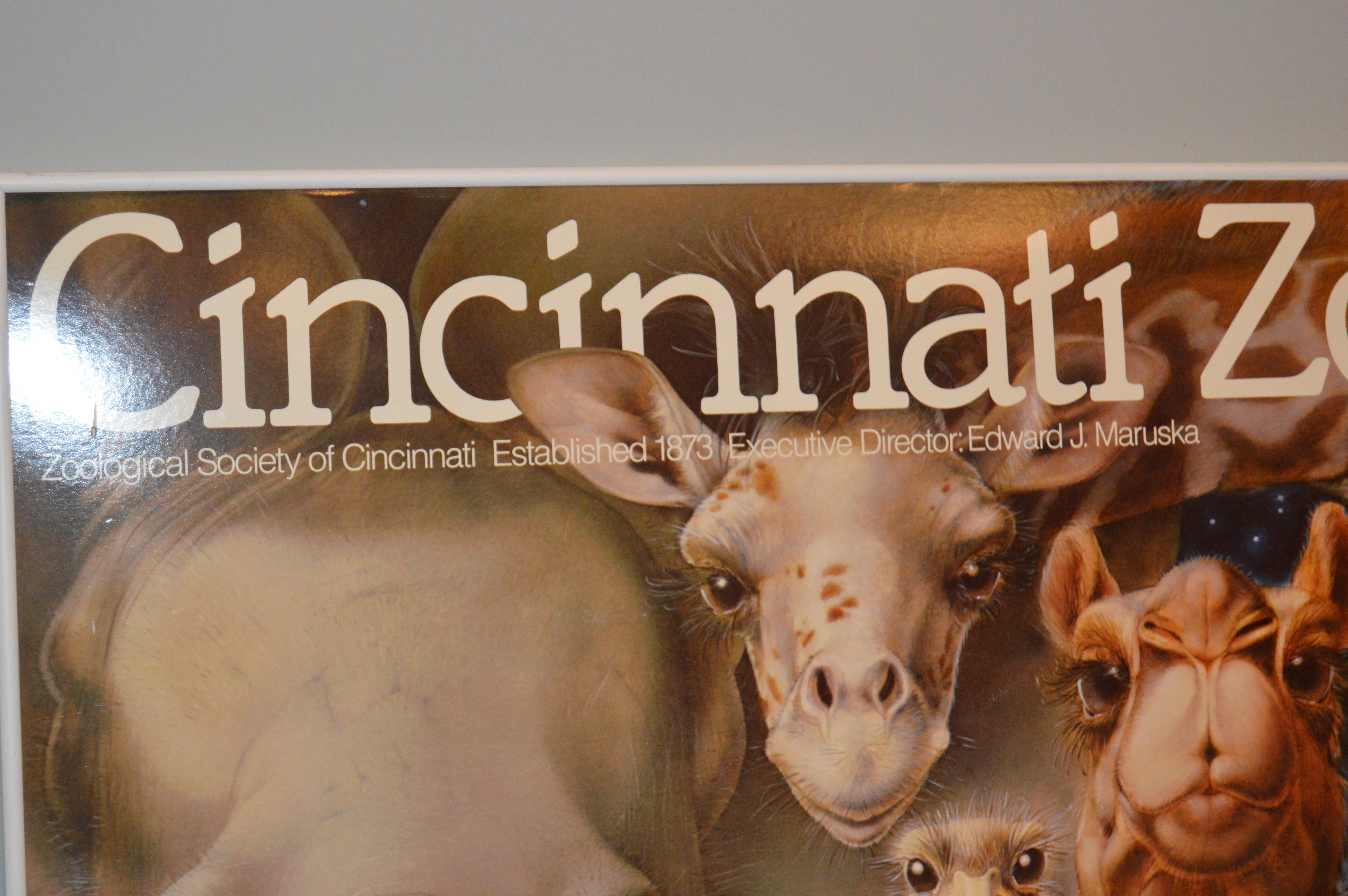 Cincinnati Zoo "New Ones" Poster