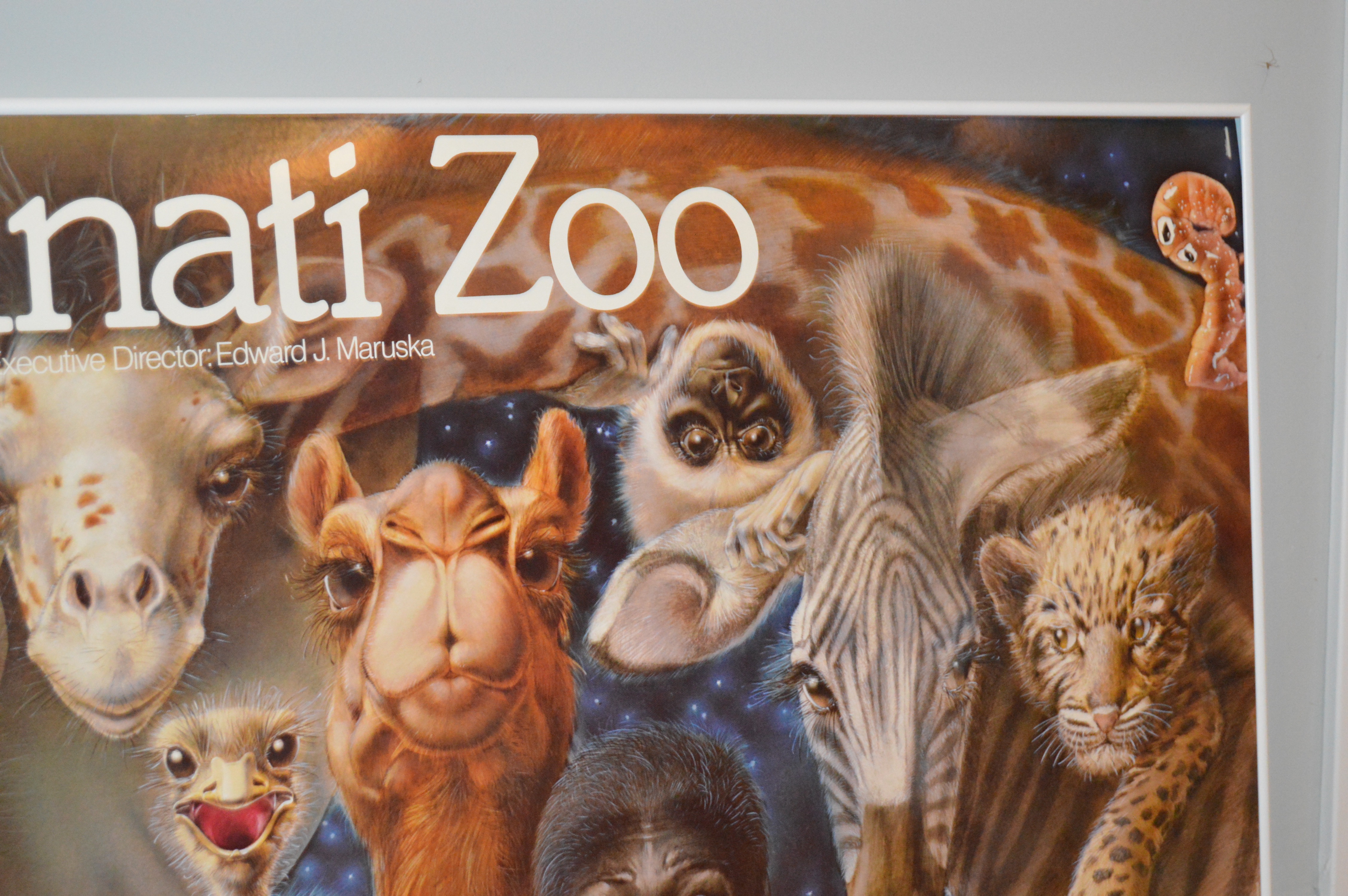 Cincinnati Zoo "New Ones" Poster