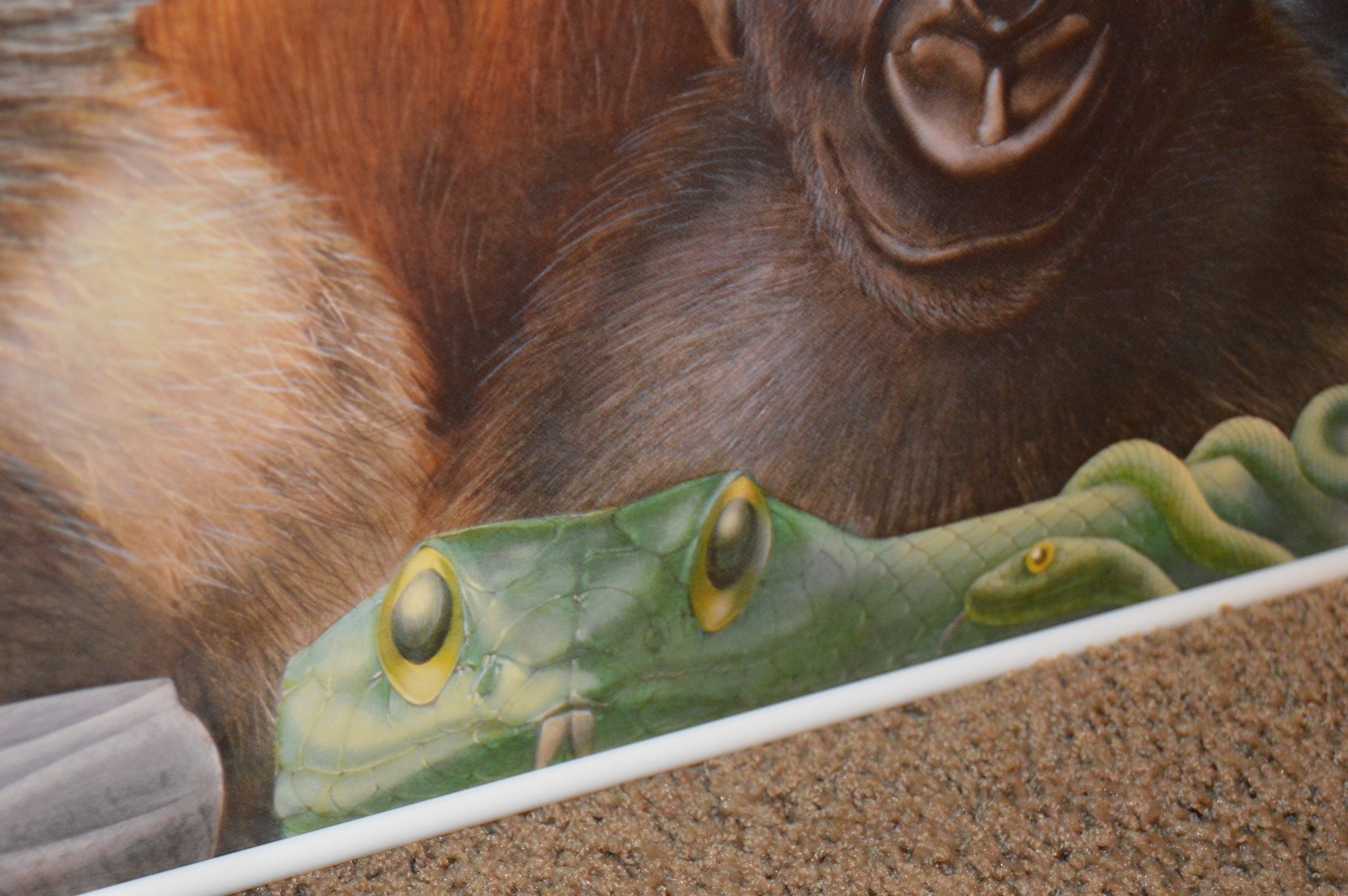 Cincinnati Zoo "New Ones" Poster