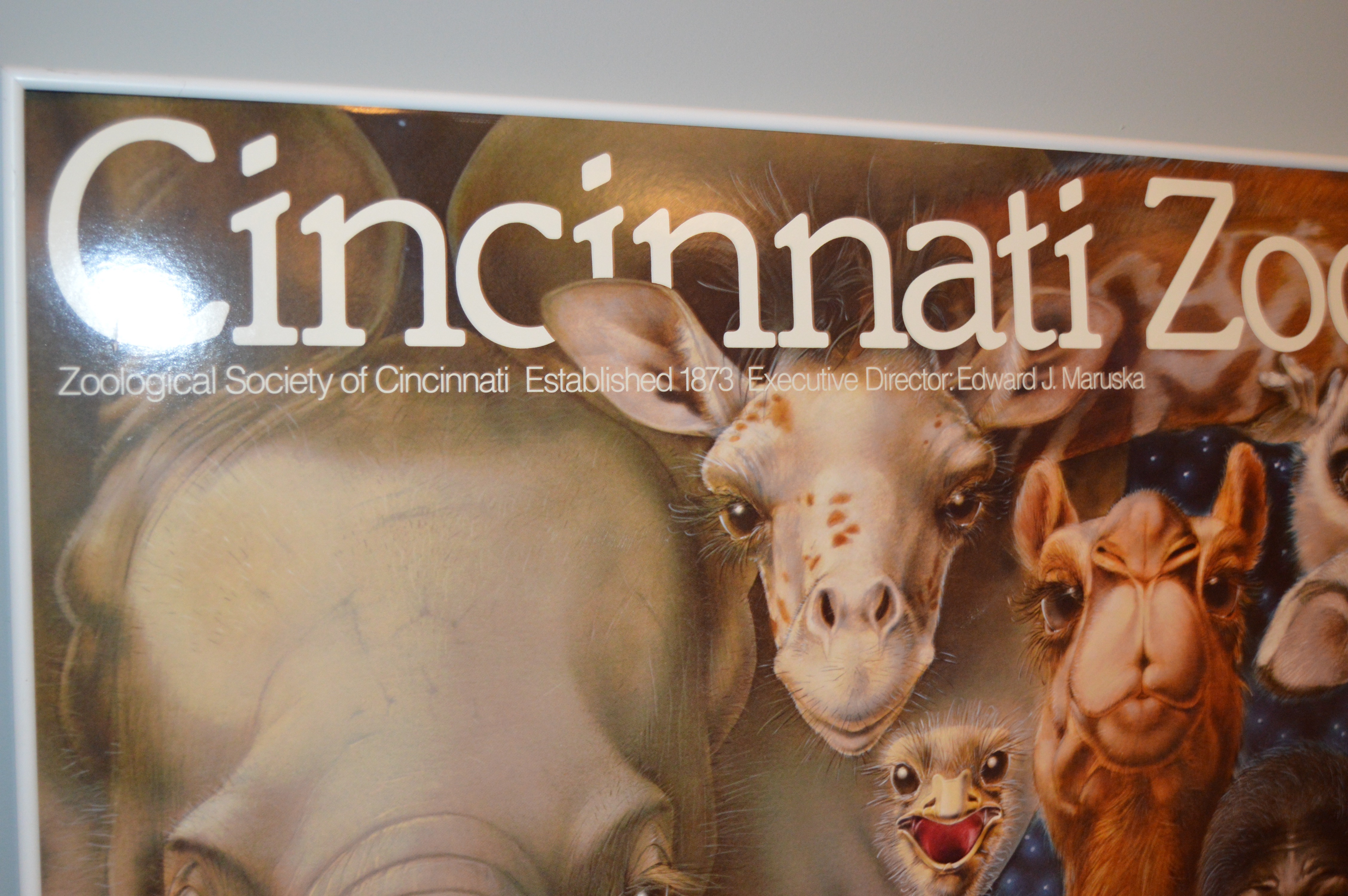 Cincinnati Zoo "New Ones" Poster