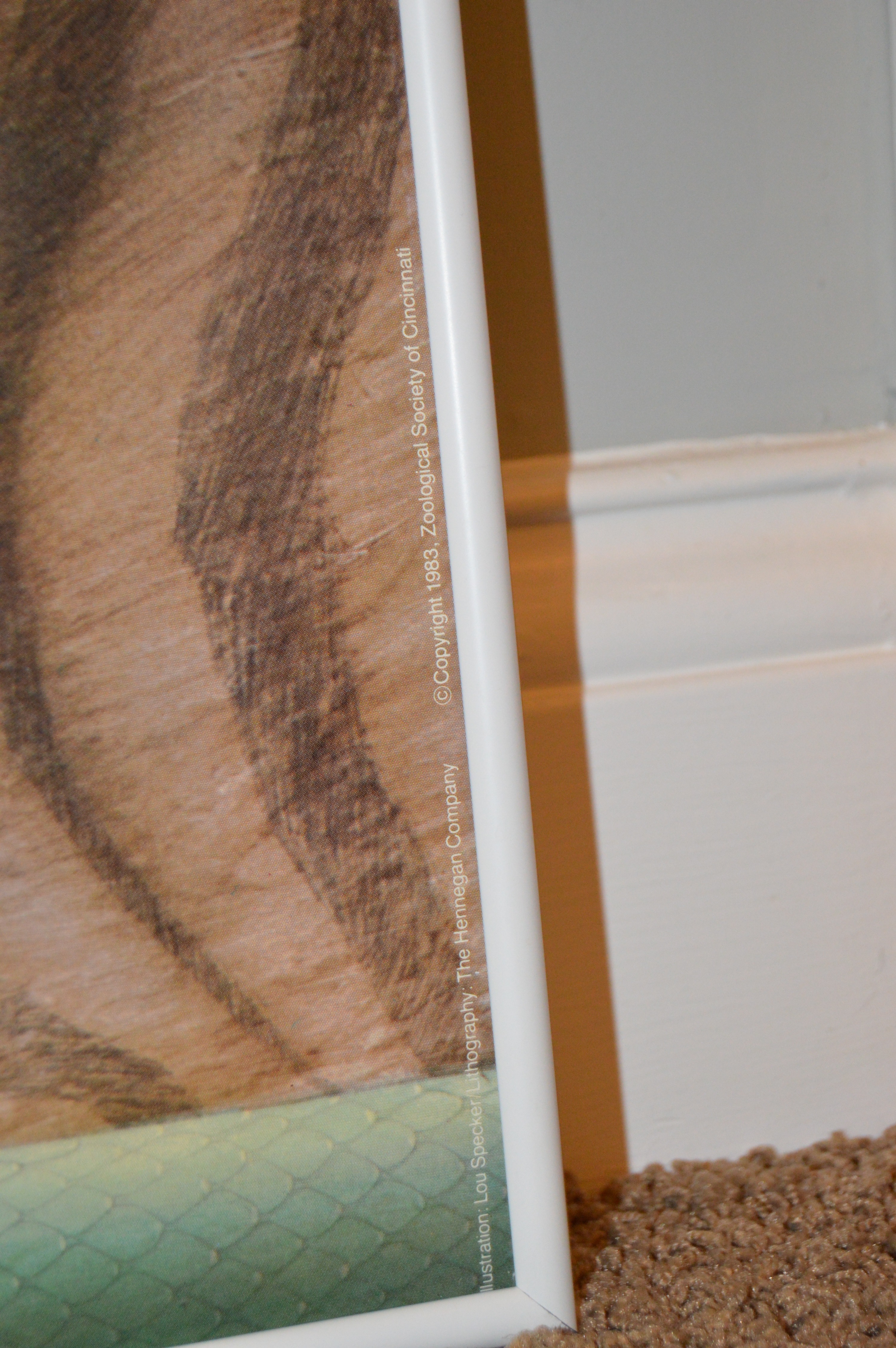 Cincinnati Zoo "New Ones" Poster