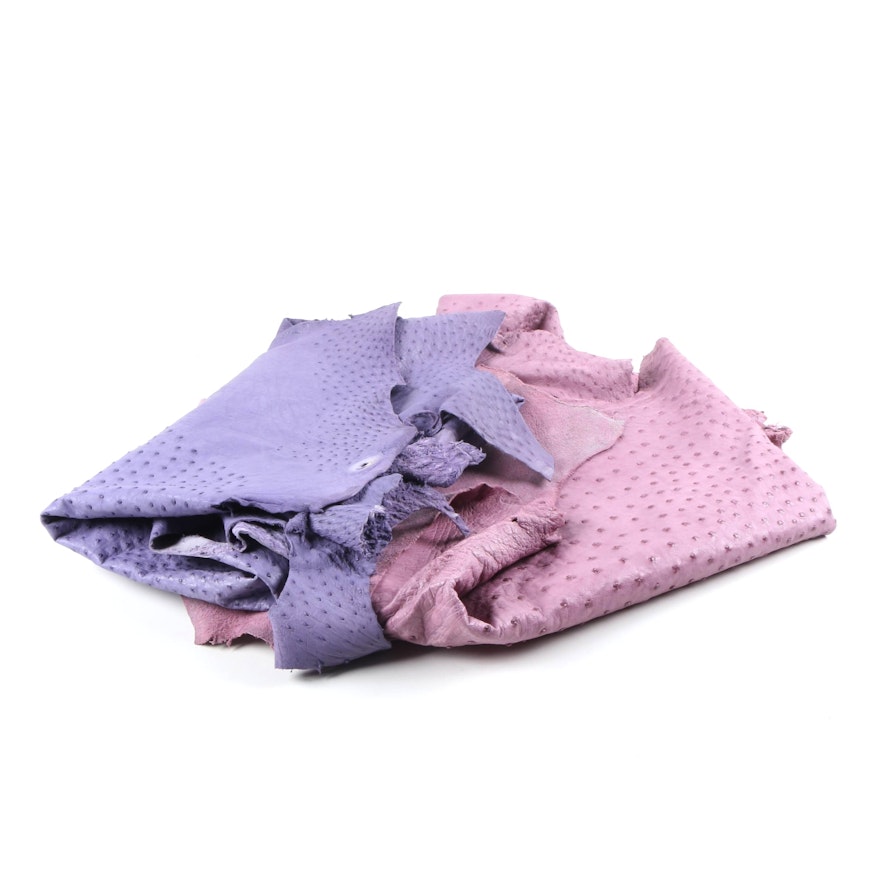 Purple and Blue Ostrich Hide Textiles