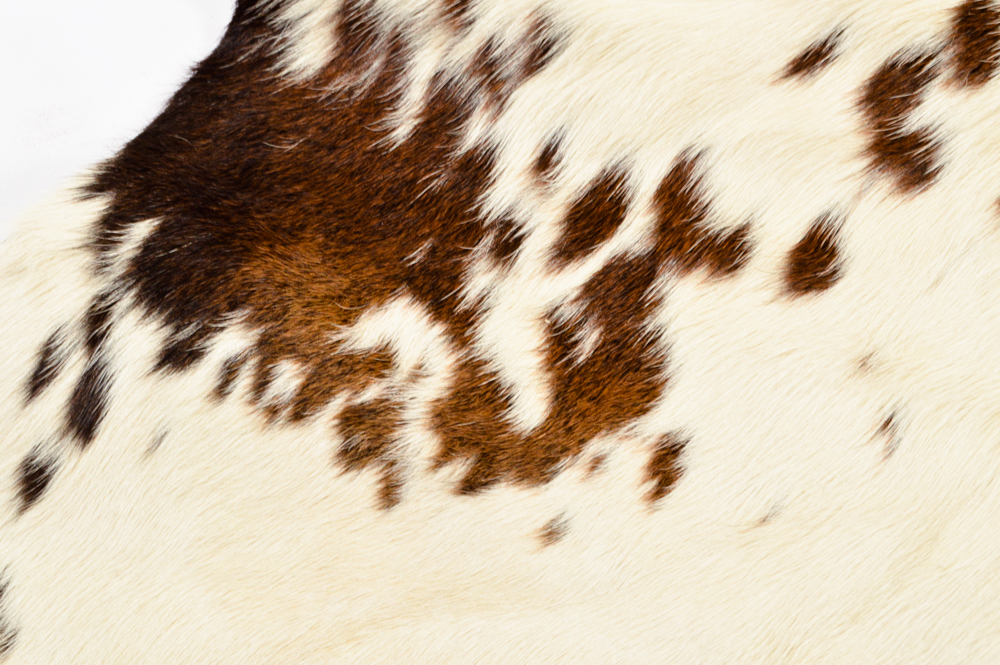 Speckled Cowhide Area Rug