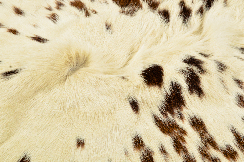 Speckled Cowhide Area Rug