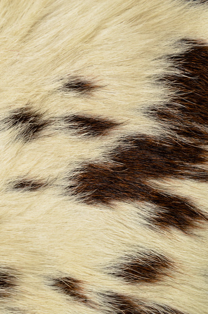 Speckled Cowhide Area Rug