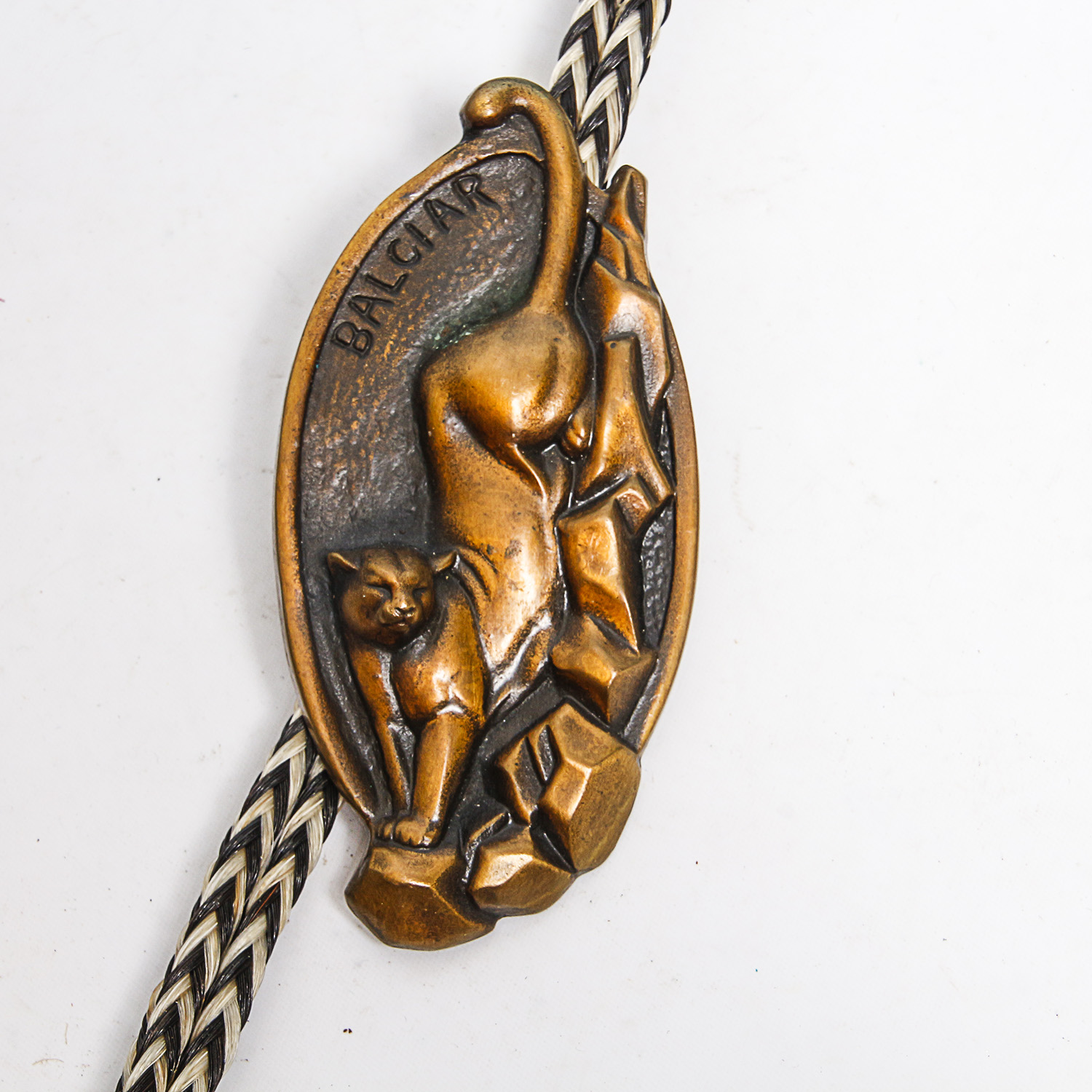 Bronze Award Medals From The National Academy of Western Art