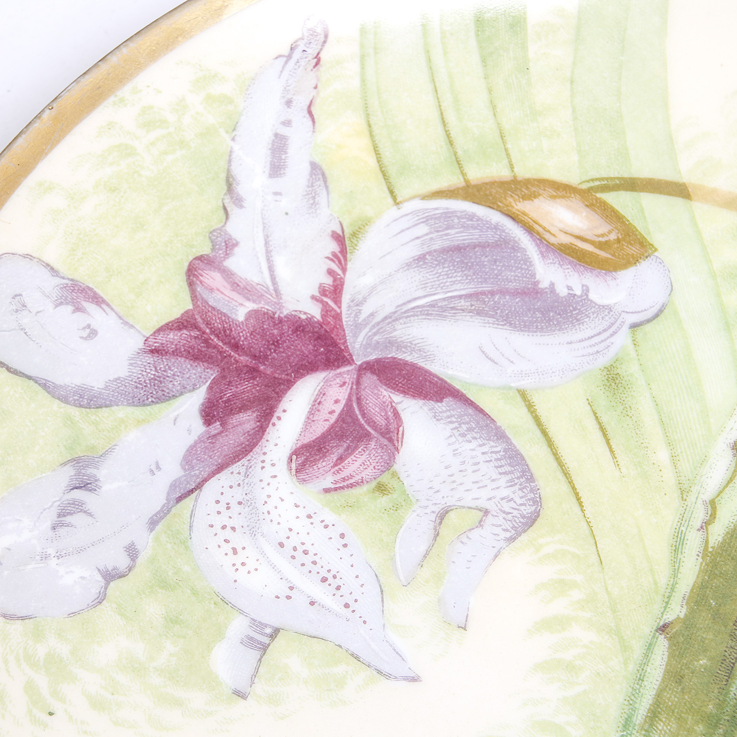 Grouping of Vintage Porcelain Plates