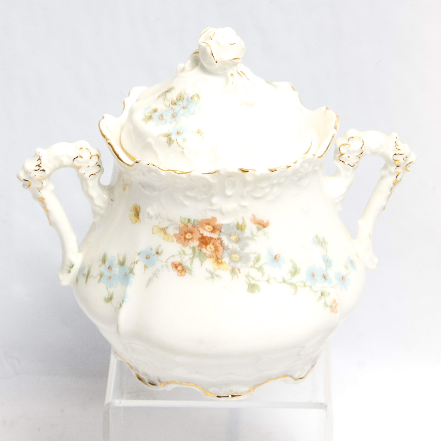 Bavarian "Eglantine" Porcelain Set
