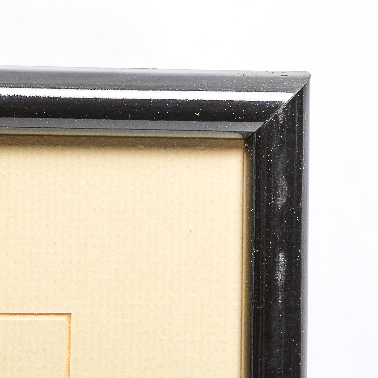 Pair of Framed Disney Sericels Featuring Donald Duck and Ludwig Von Drake