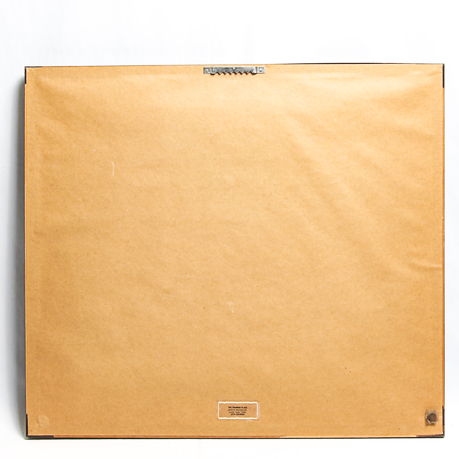 Pair of Framed Disney Sericels Featuring Donald Duck and Ludwig Von Drake