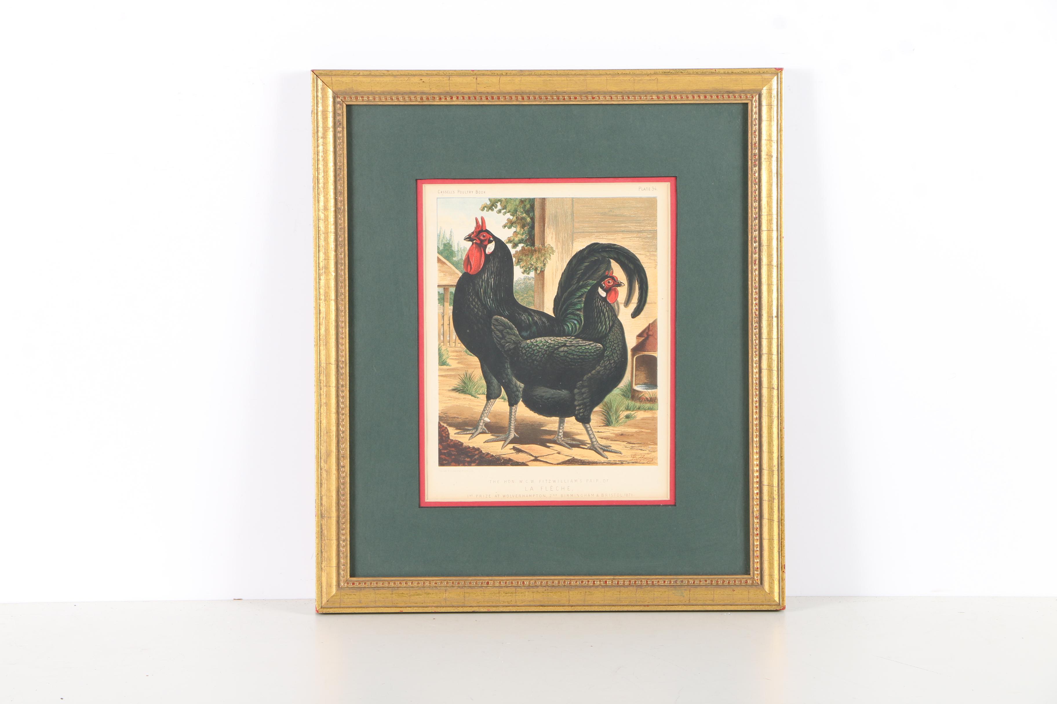 Chromolithographs After J.W. Ludlow from "Cassell's Poultry Book"