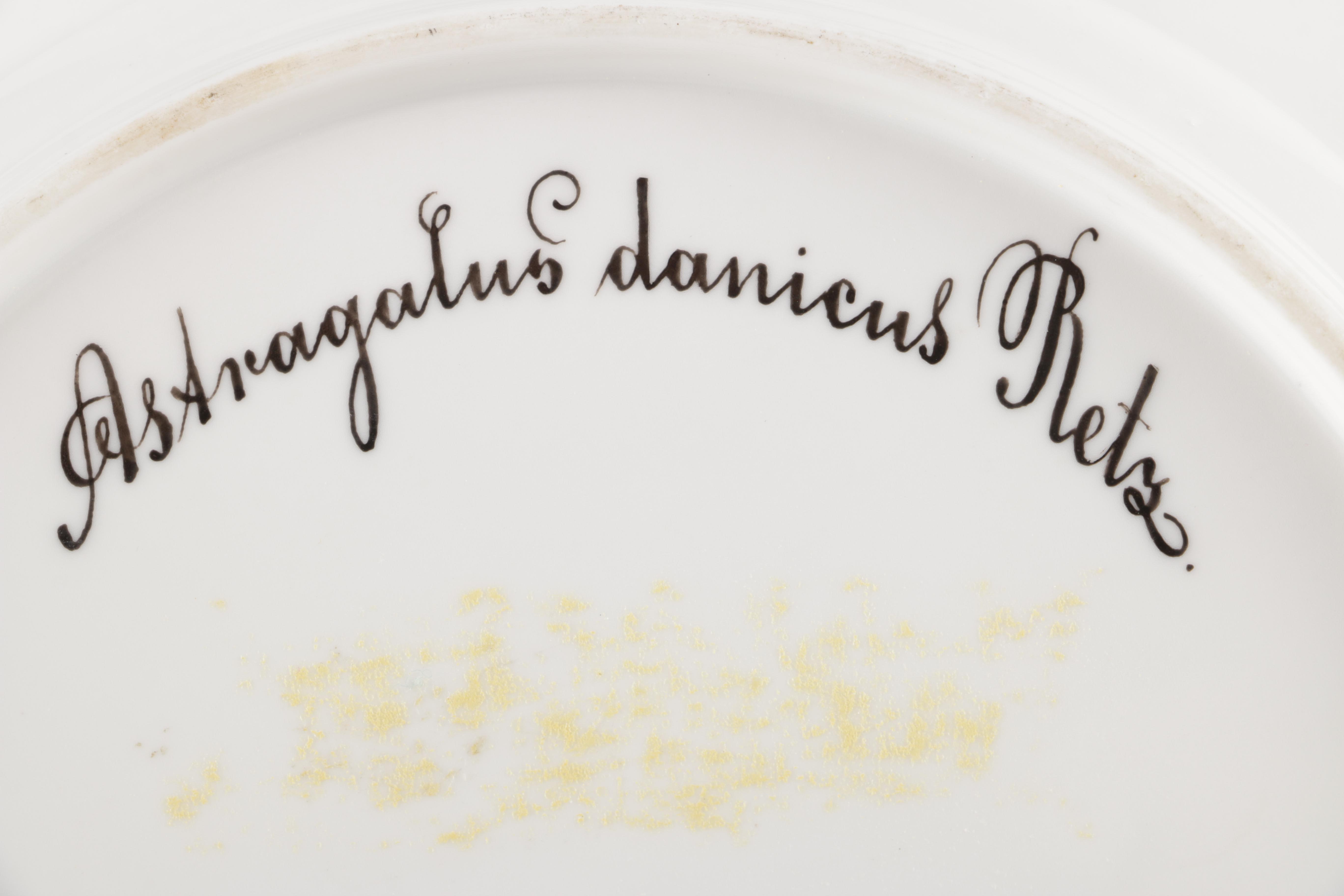 Porcelain Tableware Featuring Royal Copenhagen