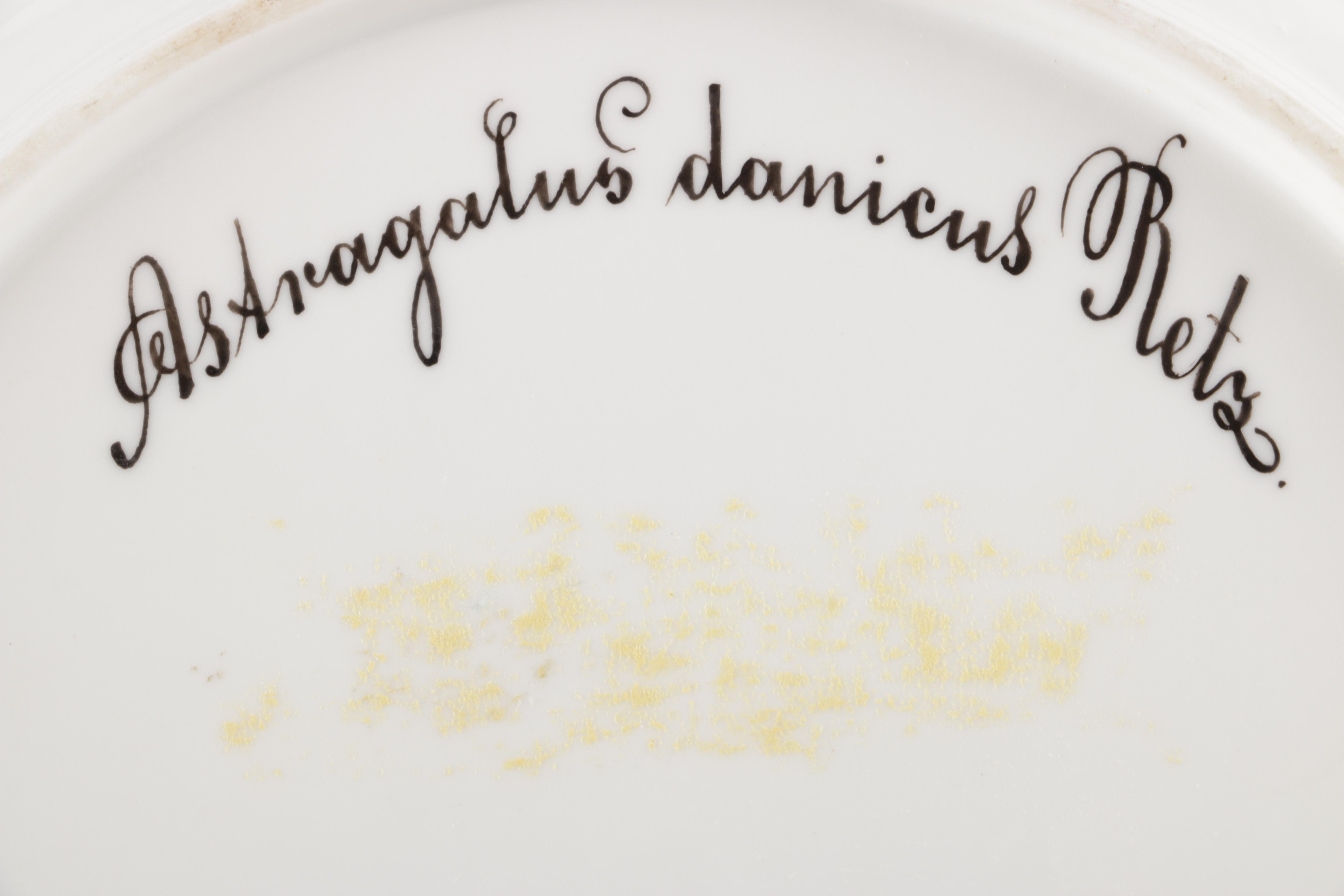 Porcelain Tableware Featuring Royal Copenhagen