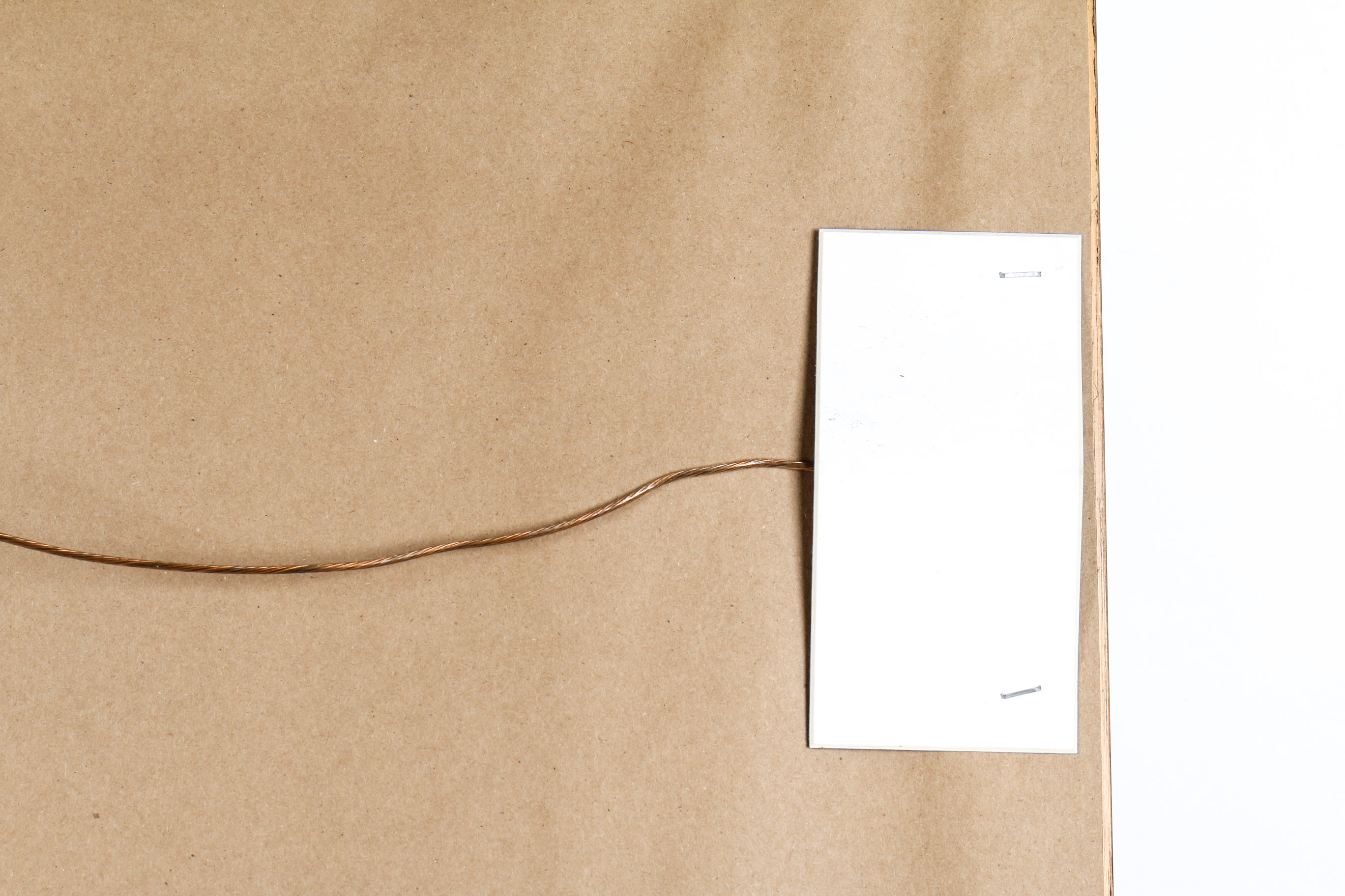 Rosemary Millette Artist Proof "Forgotten Fenceline Pheasants"