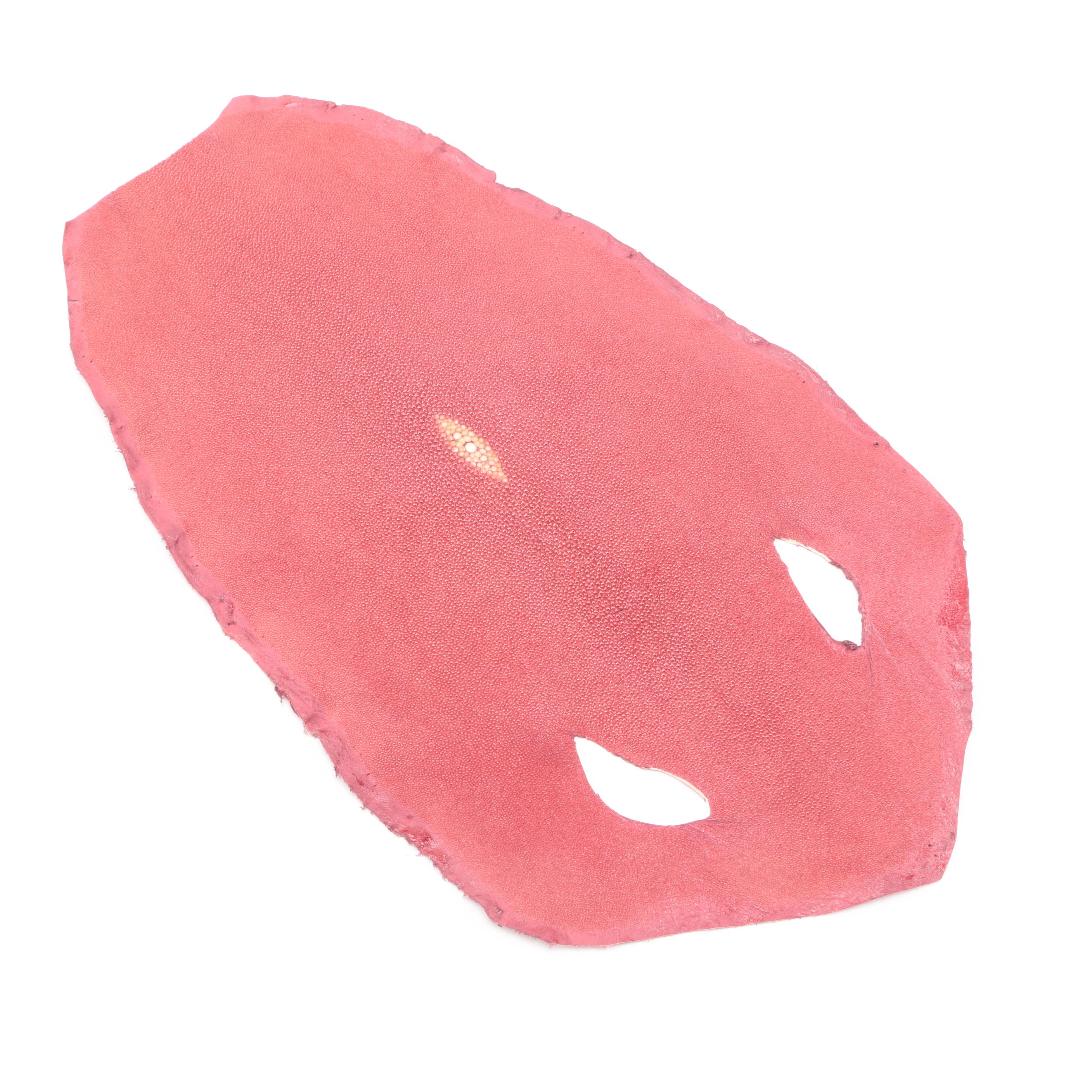 Genuine Stingray Skins With Blue and Red Finish