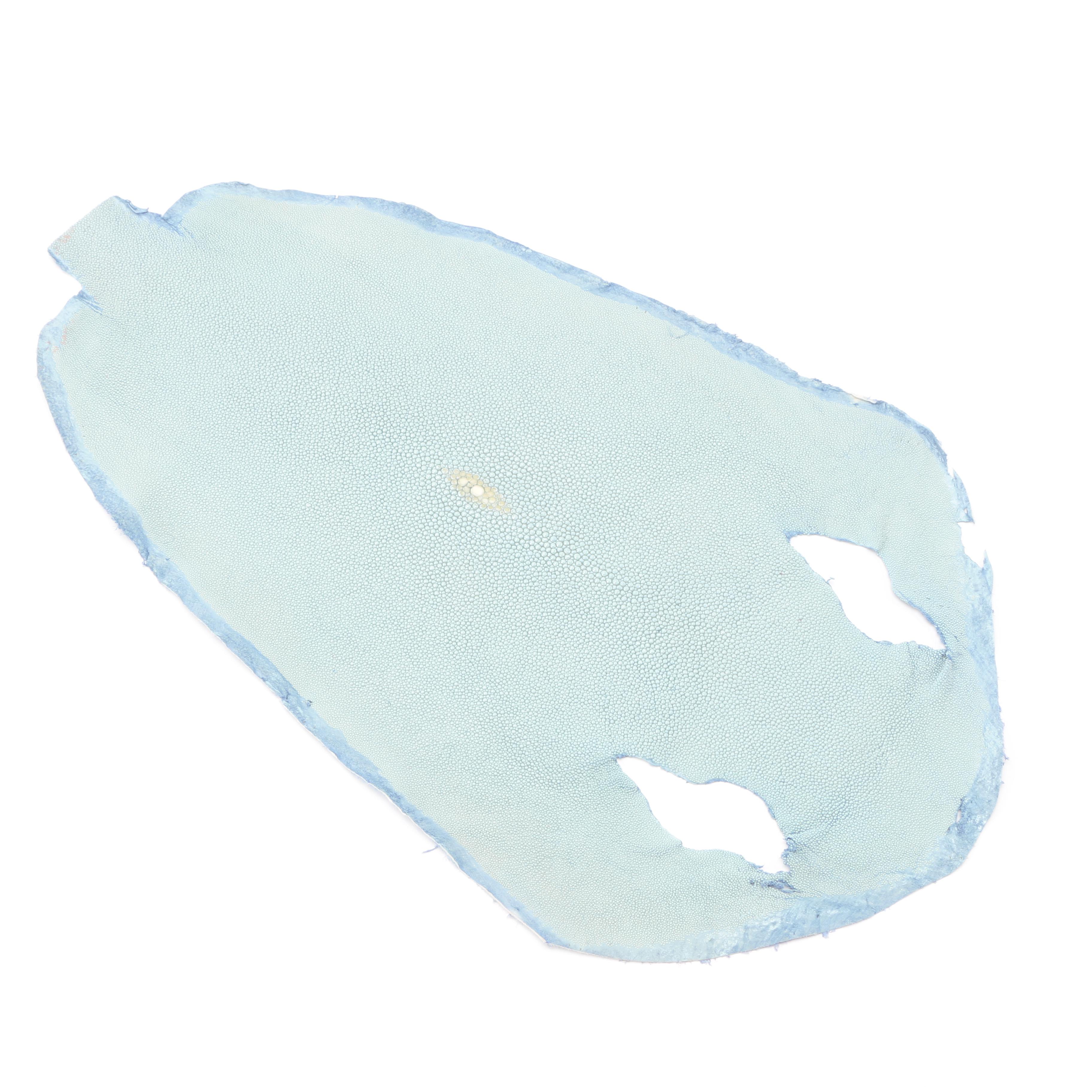 Genuine Stingray Skins With Blue and Red Finish