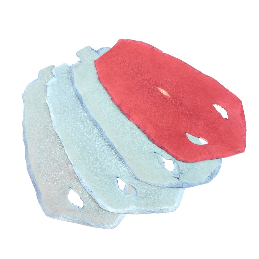 Genuine Stingray Skins With Blue and Red Finish