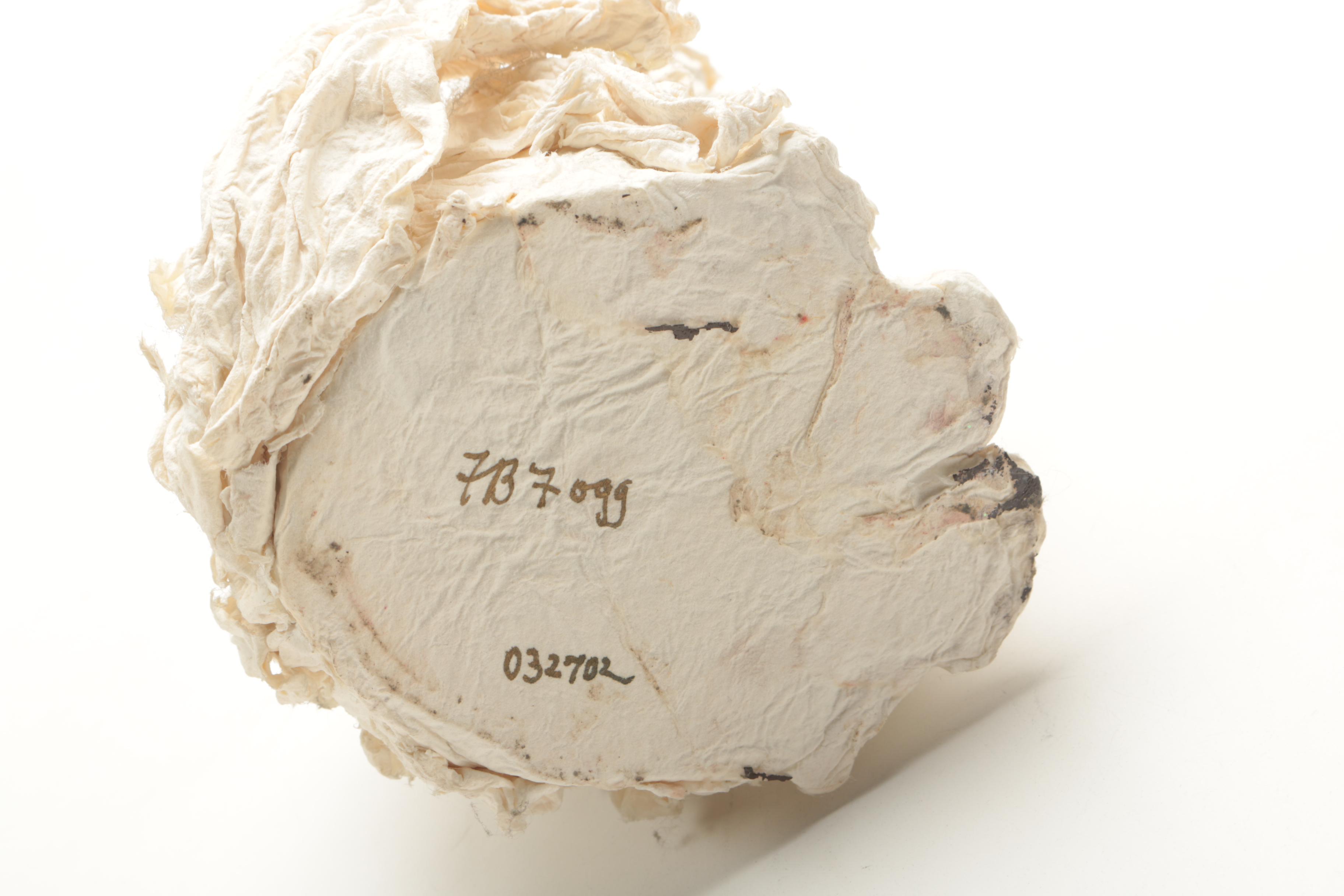 Cat Sculpture Made of Paper