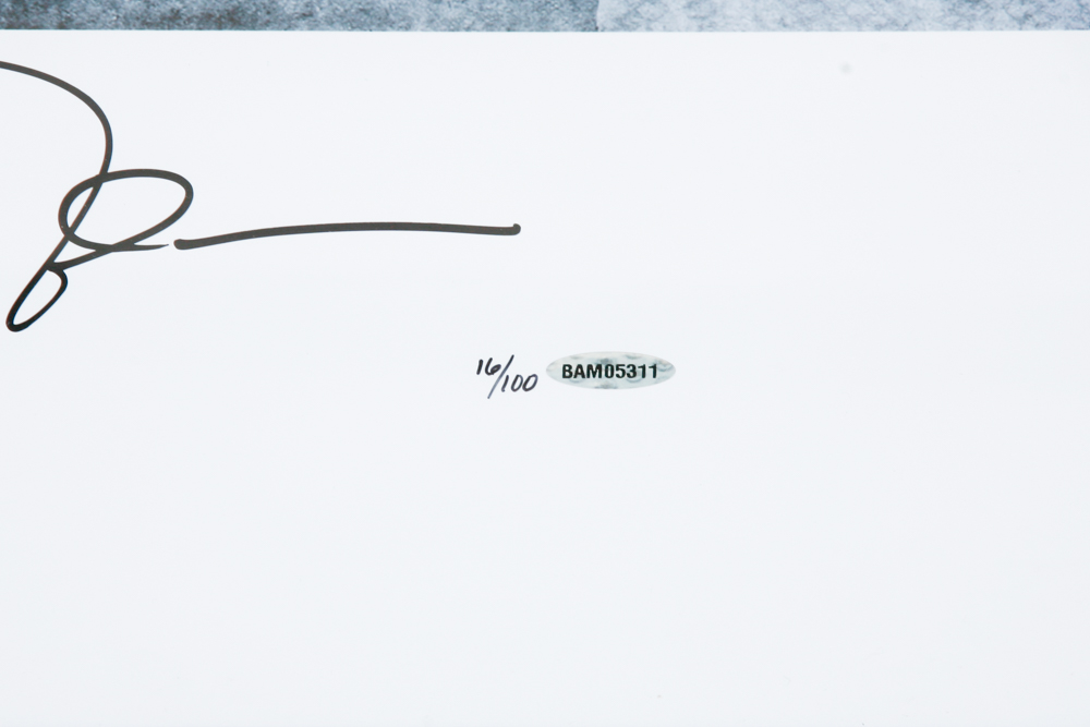 Michael Jordan Limited Edition Offset Lithograph "Wings"