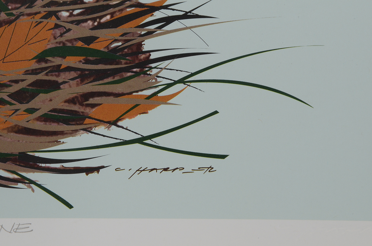 Offset Lithograph After Charley Harper's "Chorus Line"