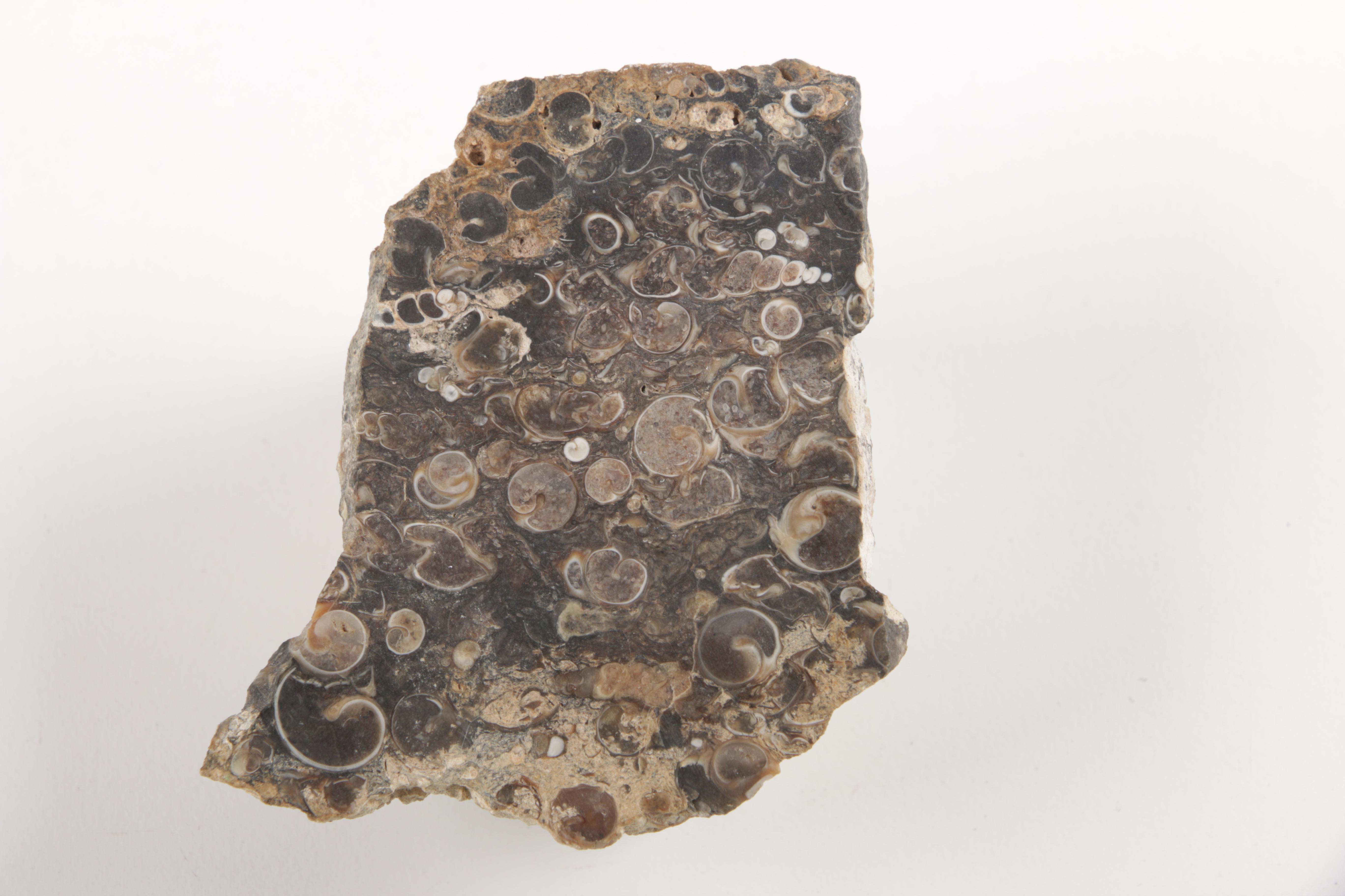 Rock and Mineral Specimens