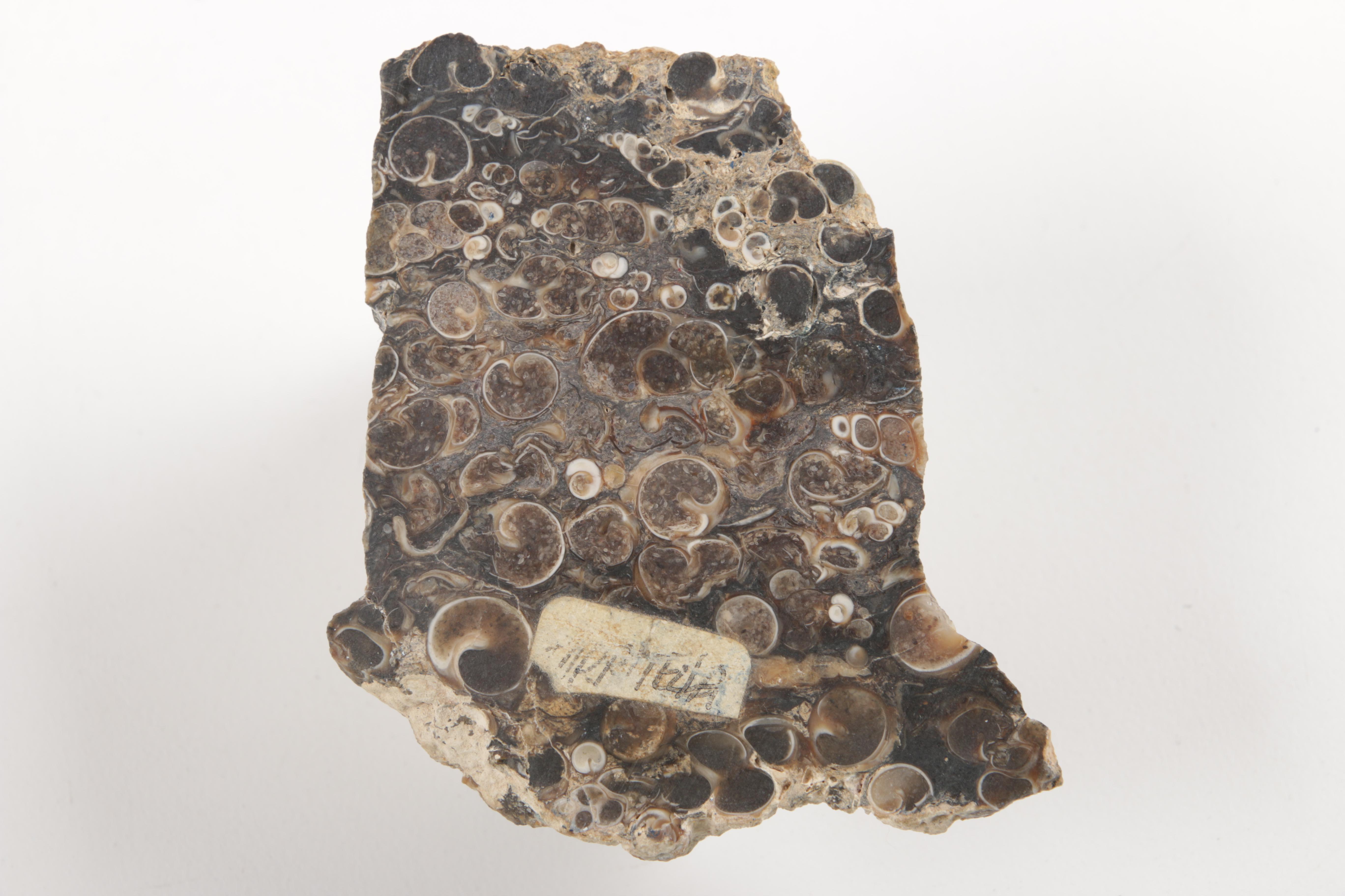 Rock and Mineral Specimens