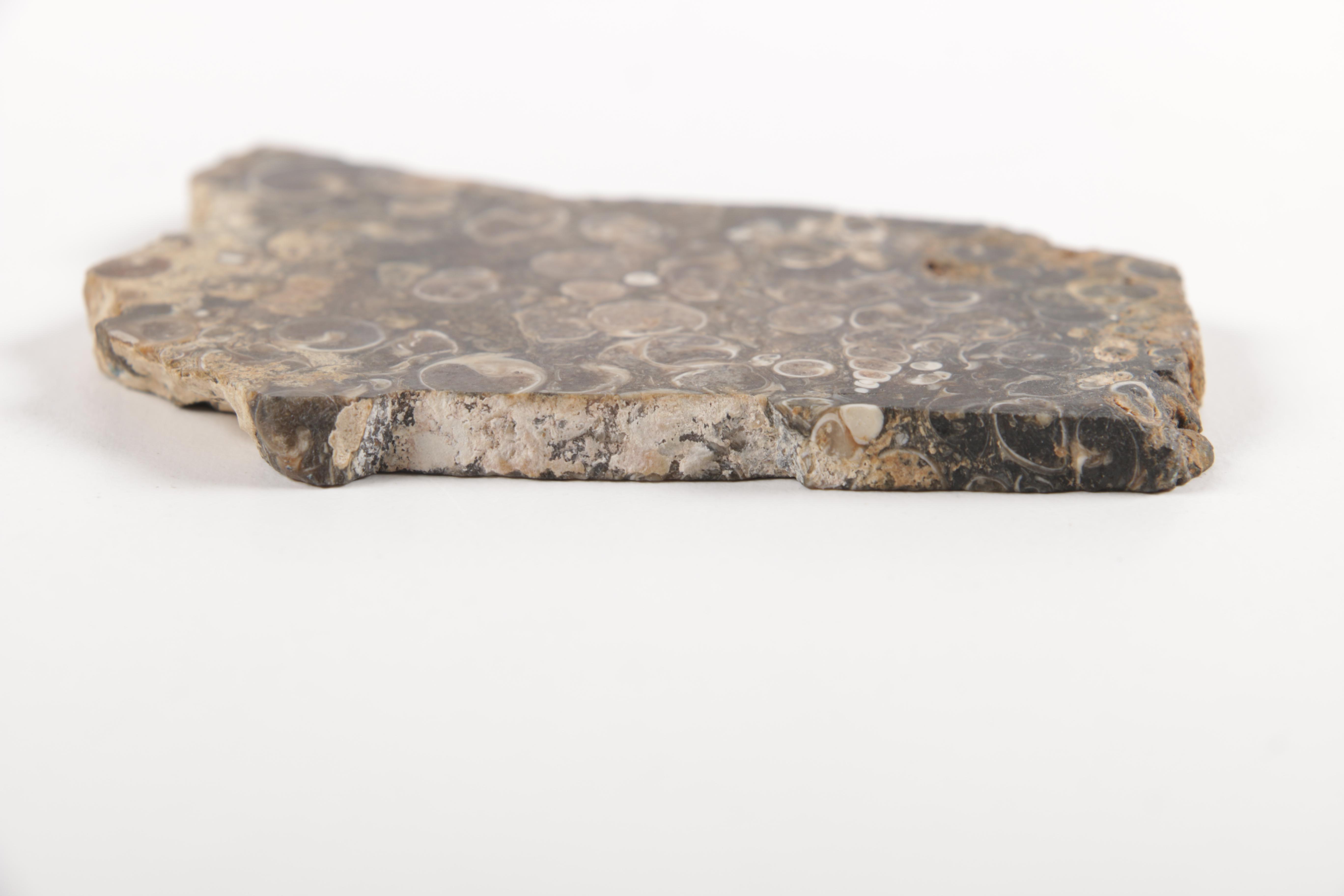 Rock and Mineral Specimens