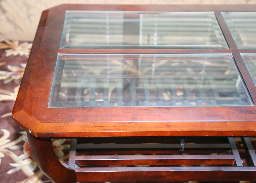 Contemporary Glass-Paneled Coffee Table