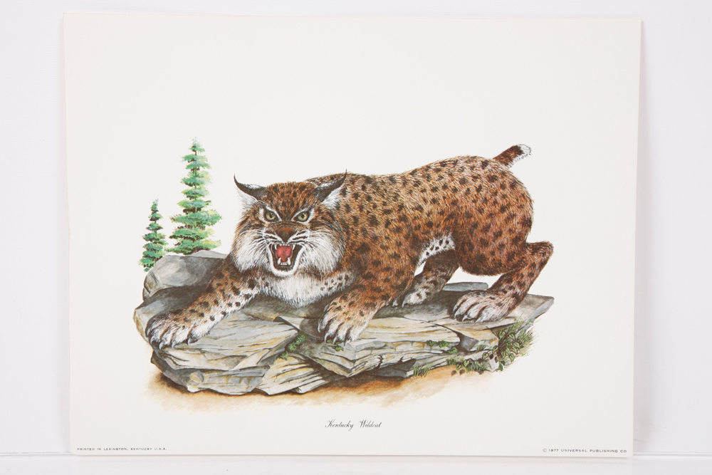 Collection of "Kentucky Wildcat" and "Kentucky Basketball" Prints