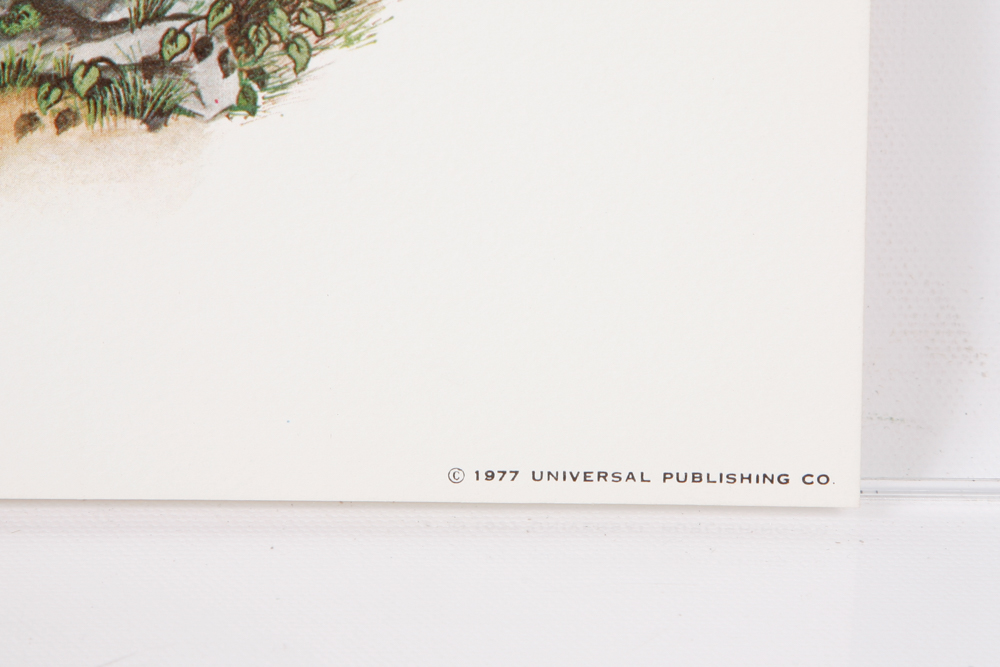 Collection of "Kentucky Wildcat" and "Kentucky Basketball" Prints