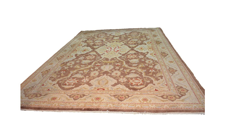 Hand-Knotted Persian Style Area Rug