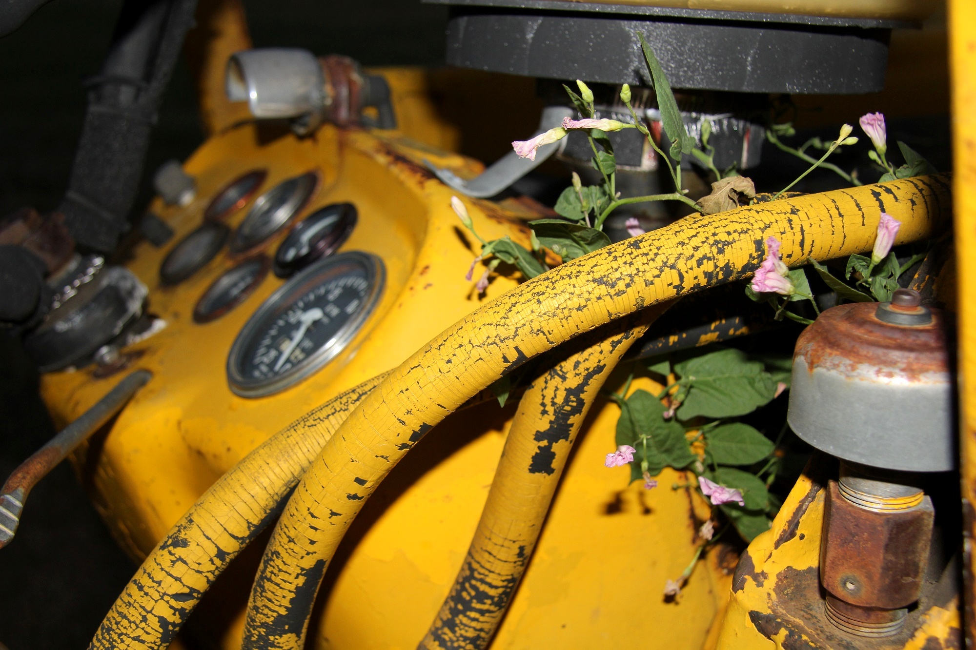 Massey Ferguson Industrial 40 Tractor
