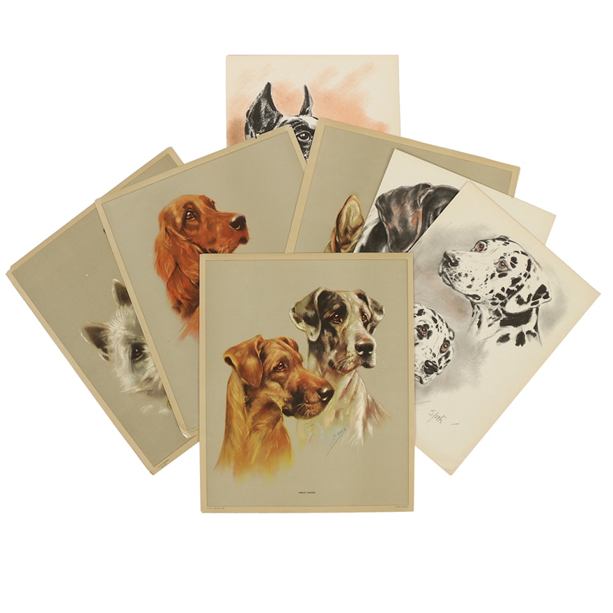 Collection of Halftone Portraits of Dogs