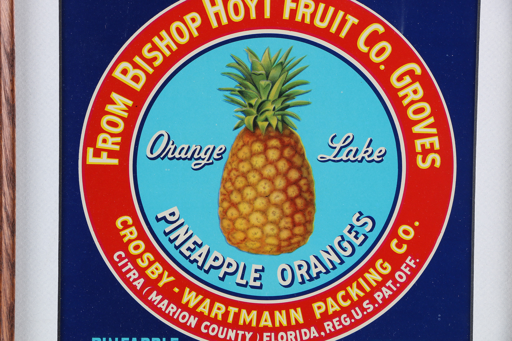 Framed Vintage Fruit Crate Labels From Florida Growers